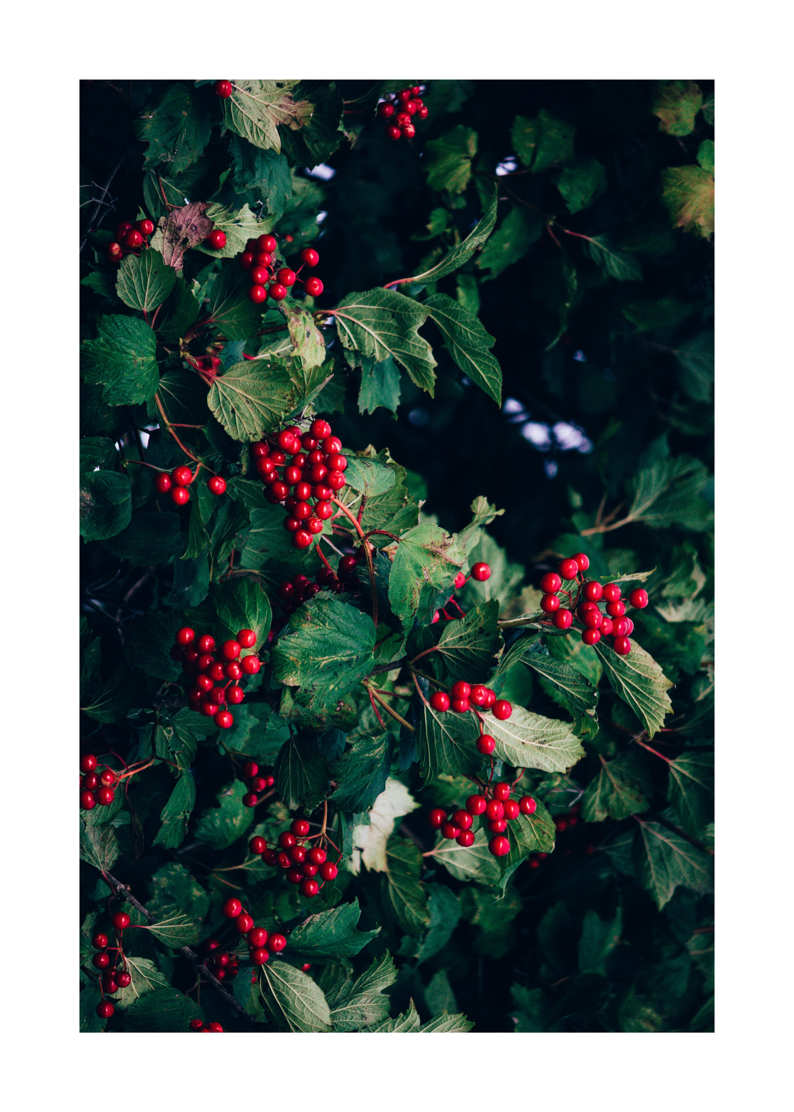 постер постеры море фото на стену фото для печати фото в раму декор из фото