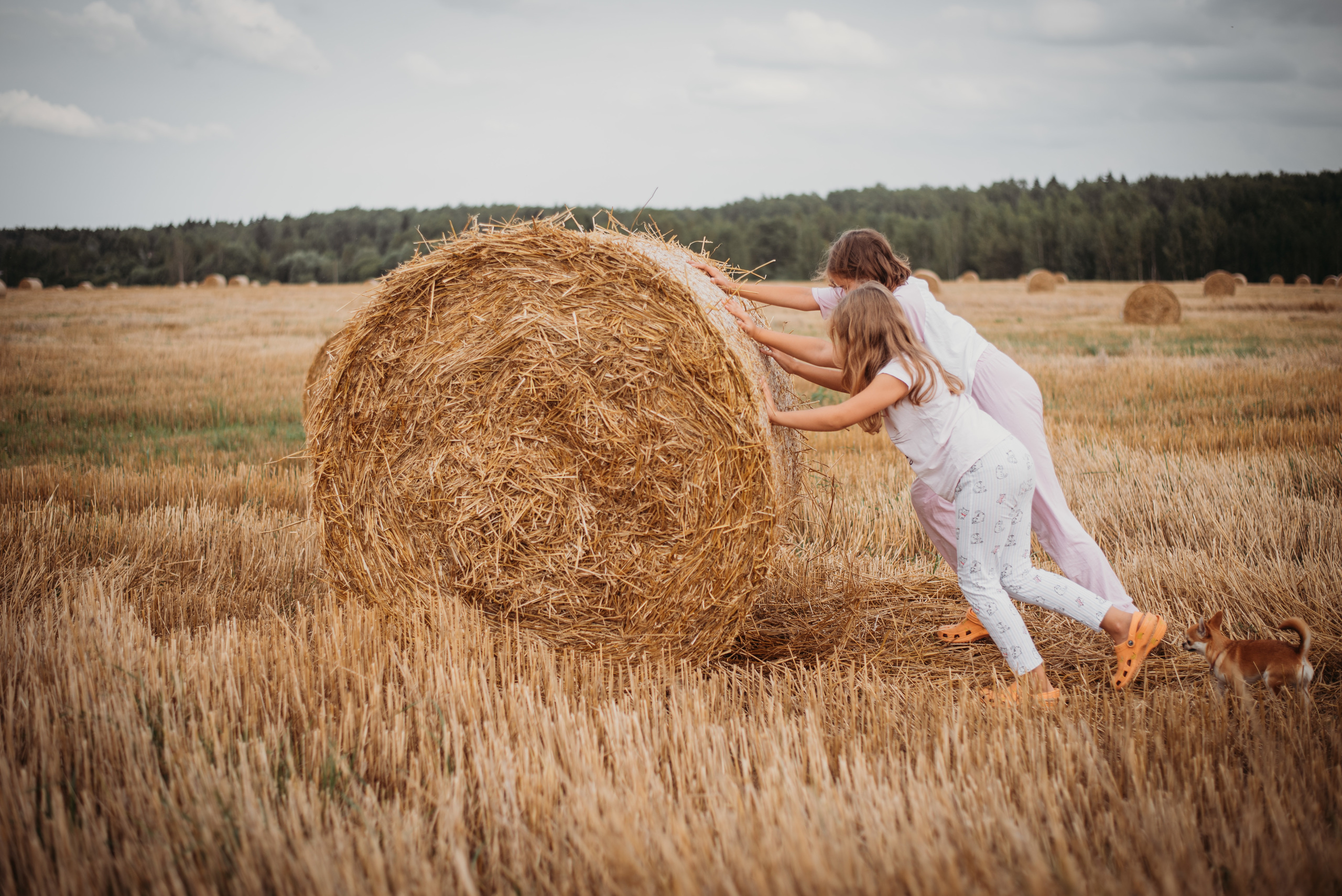 ФОТО ПРОГУЛКА. Семейный и женский фотограф в Москве Доминова Елена