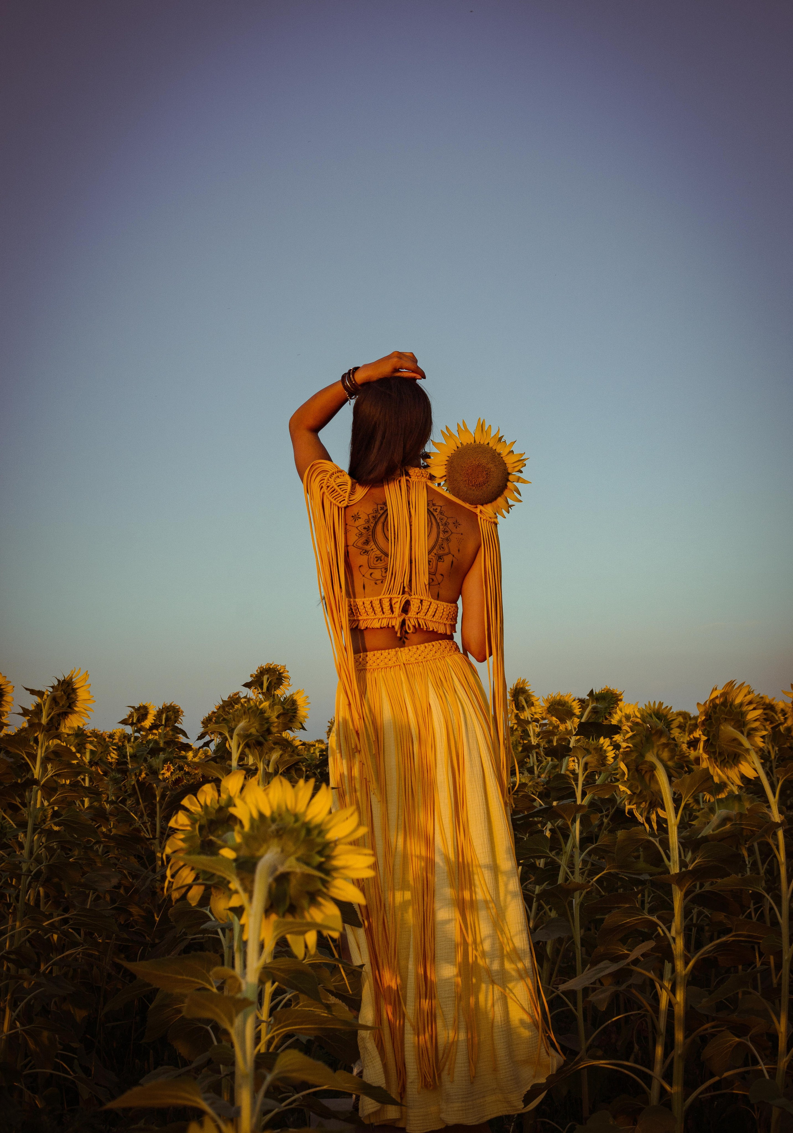 Подсолнухи. Елена Волкова семейный фотограф в станице Гостагаевской города-курорта Анапа