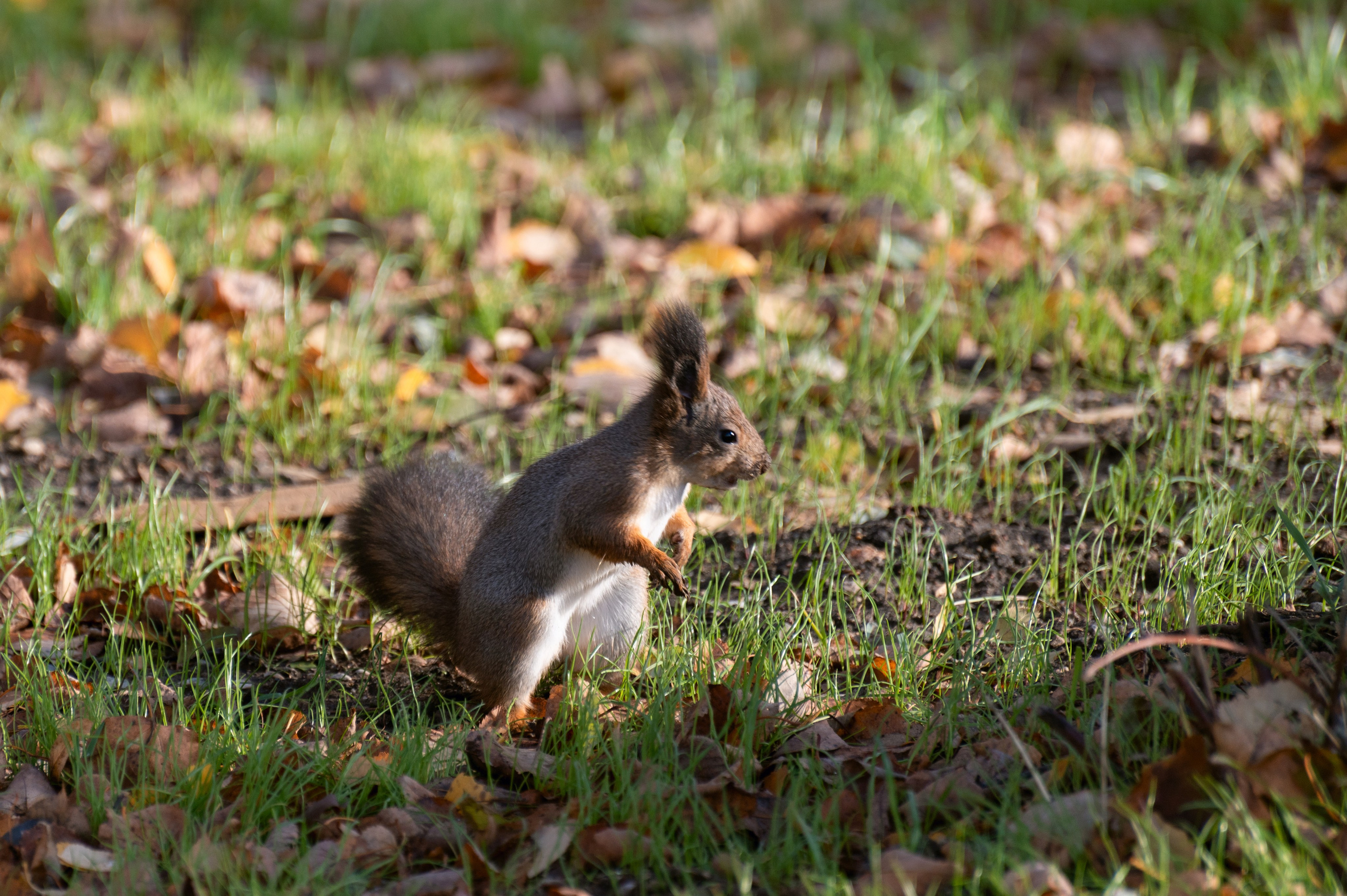 20241102 МГУ. Дмитрий Ремизов. Фотография, как хобби