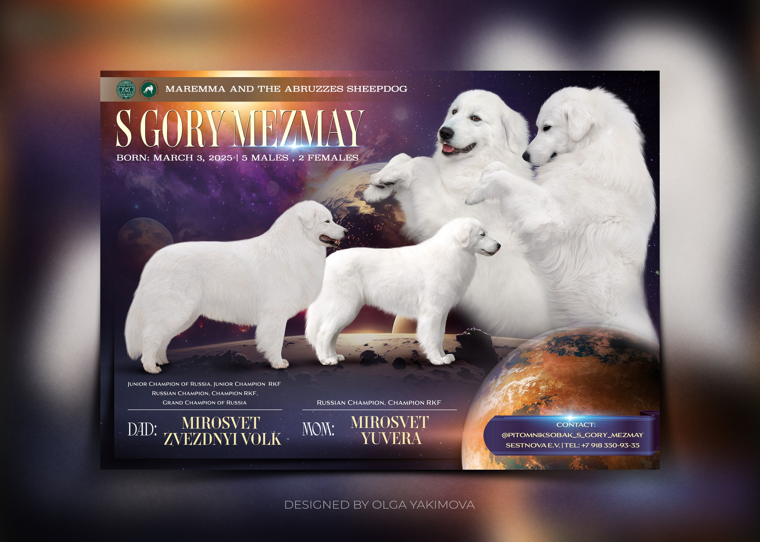 Animal presentation. Фотограф