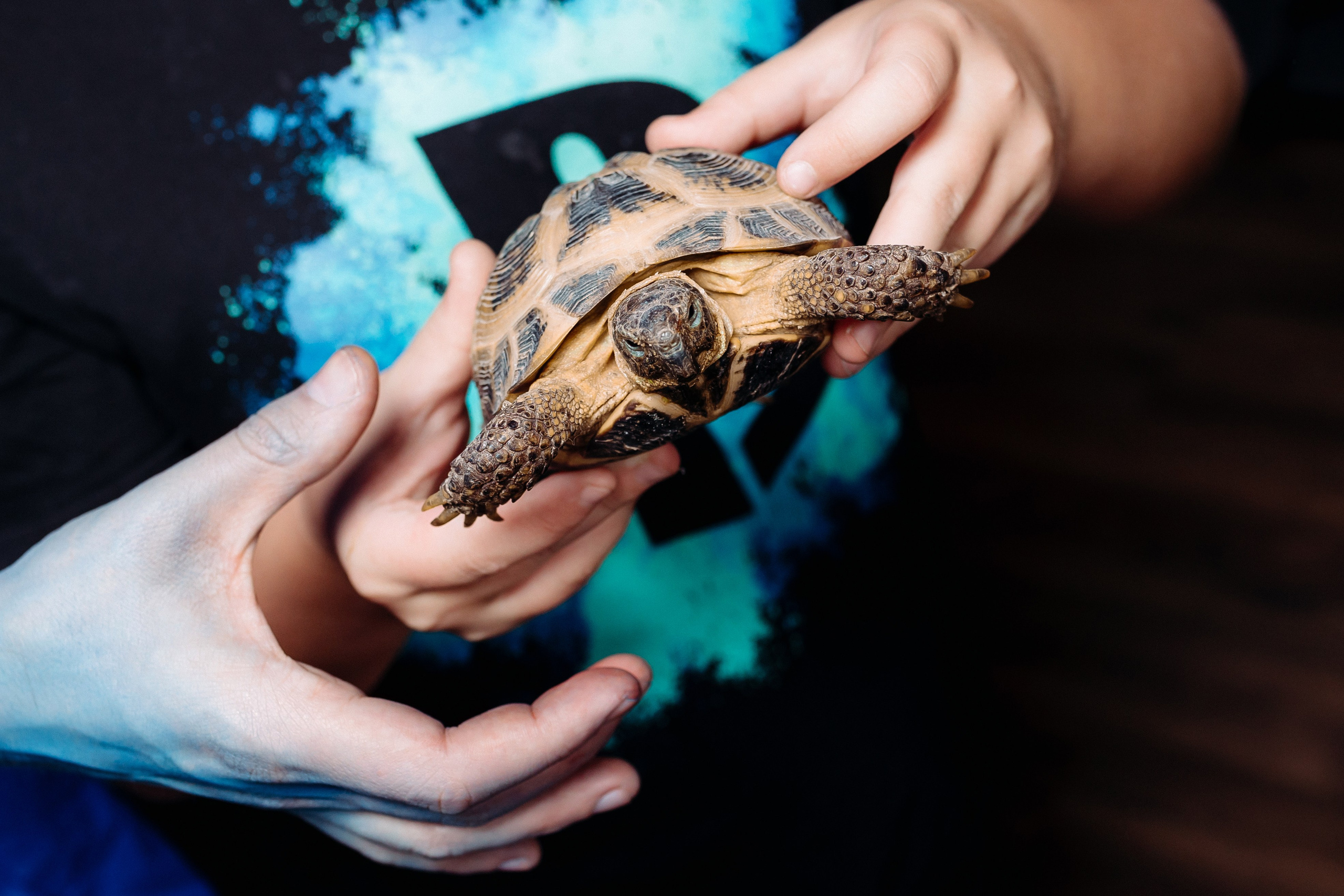 Дни Рождения. Фотограф в Санкт-Петербурге Кирюшенков Андрей