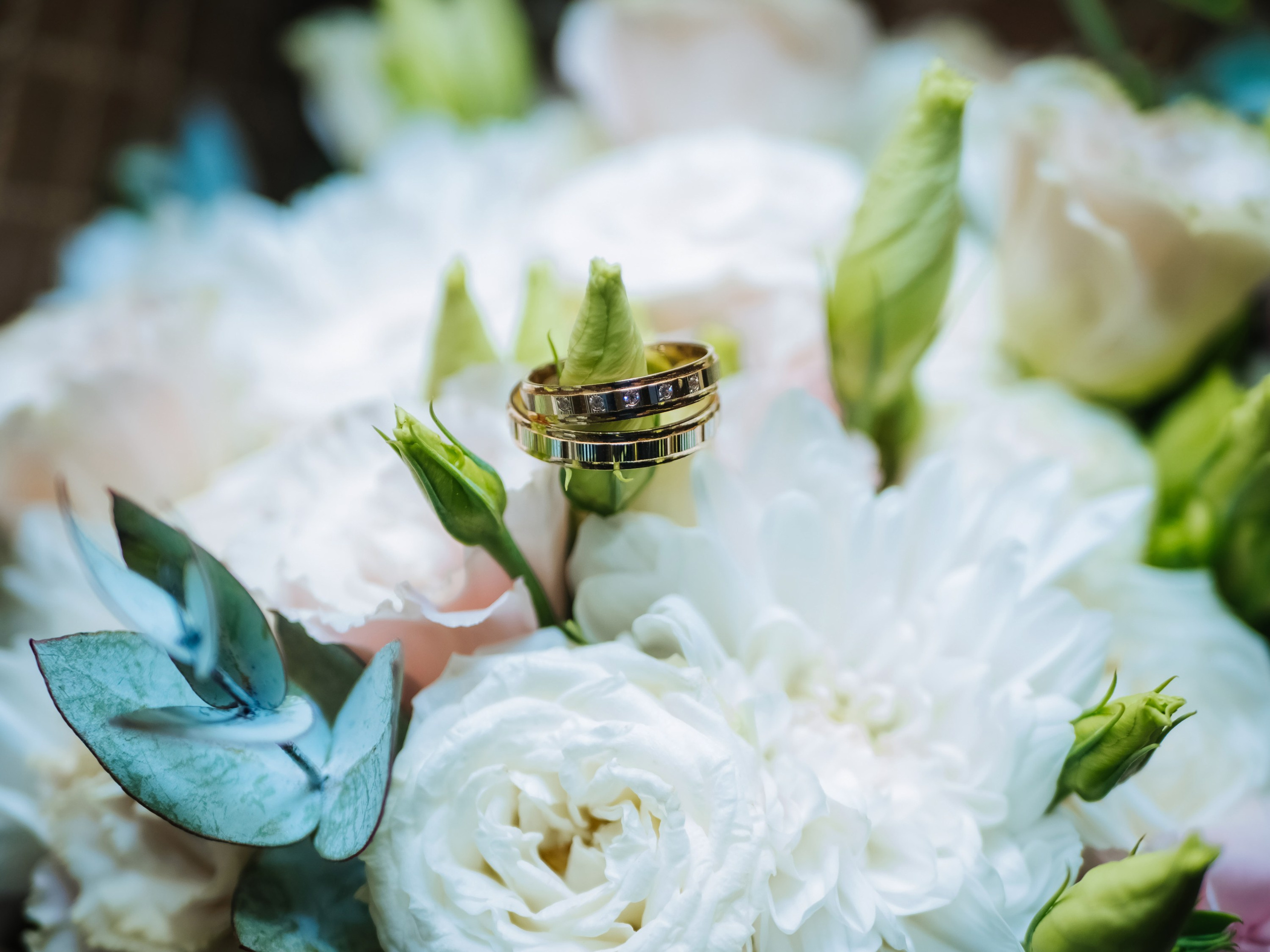 Богдан и Яна. Семейный, детский, свадебный, фотограф в городе Анапа