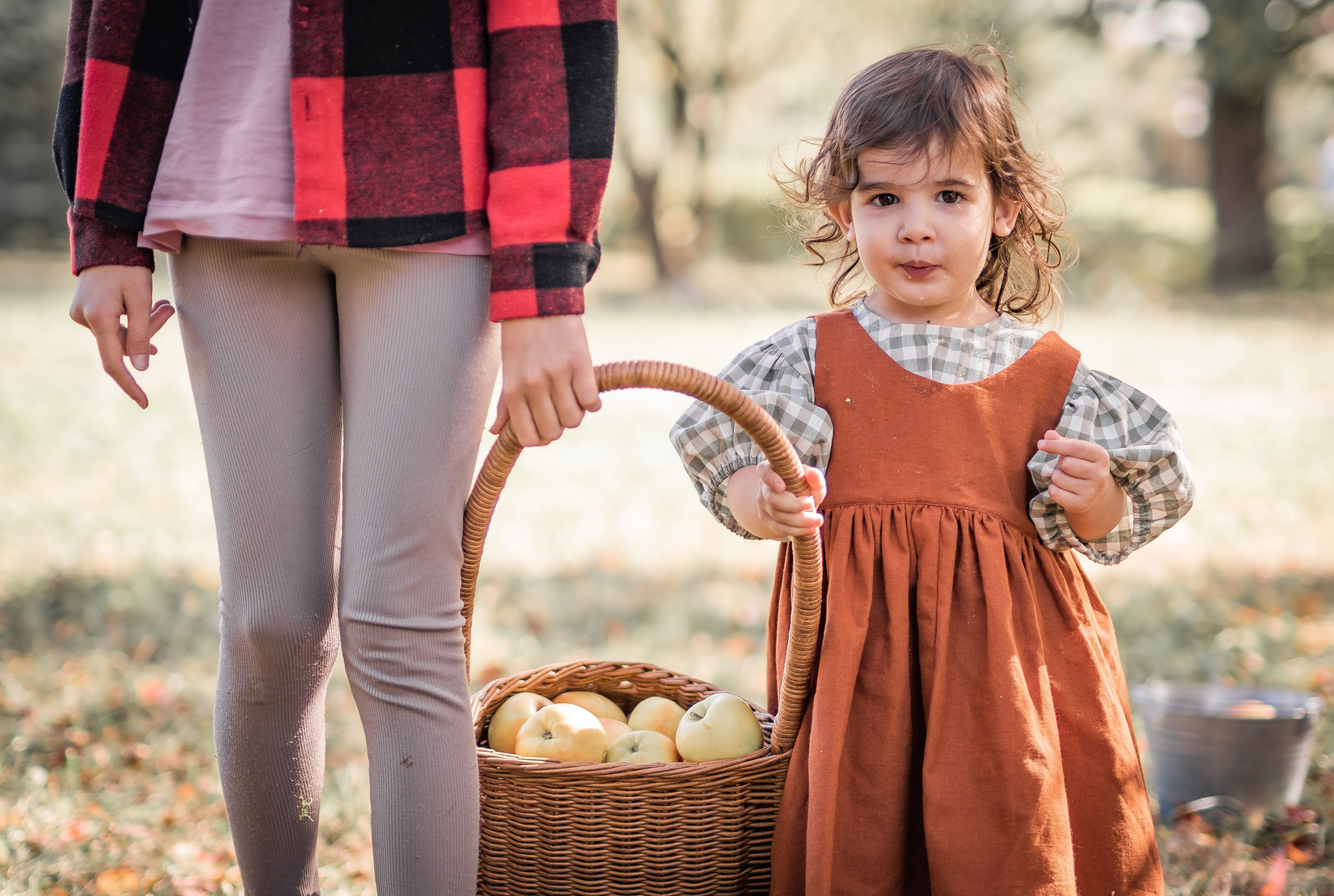 Яблоки. Семейный фотограф Ефремова Виктория