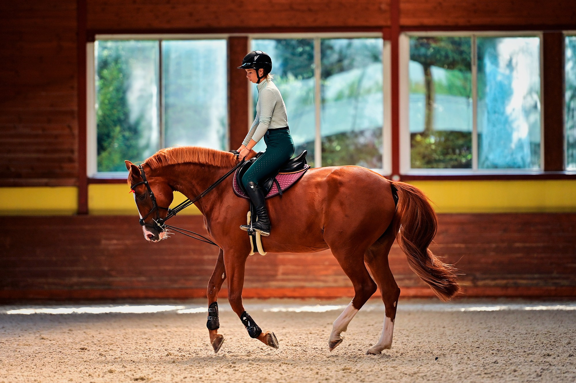 Тренировки. Конный фотограф Alesya Safe