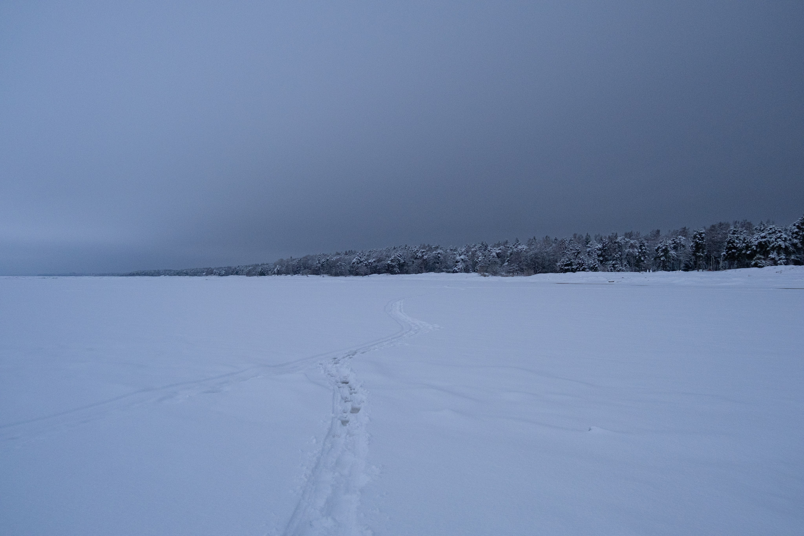 Комарово. Портретный и архитектурный фотограф в Москве и Санкт-Петербурге
