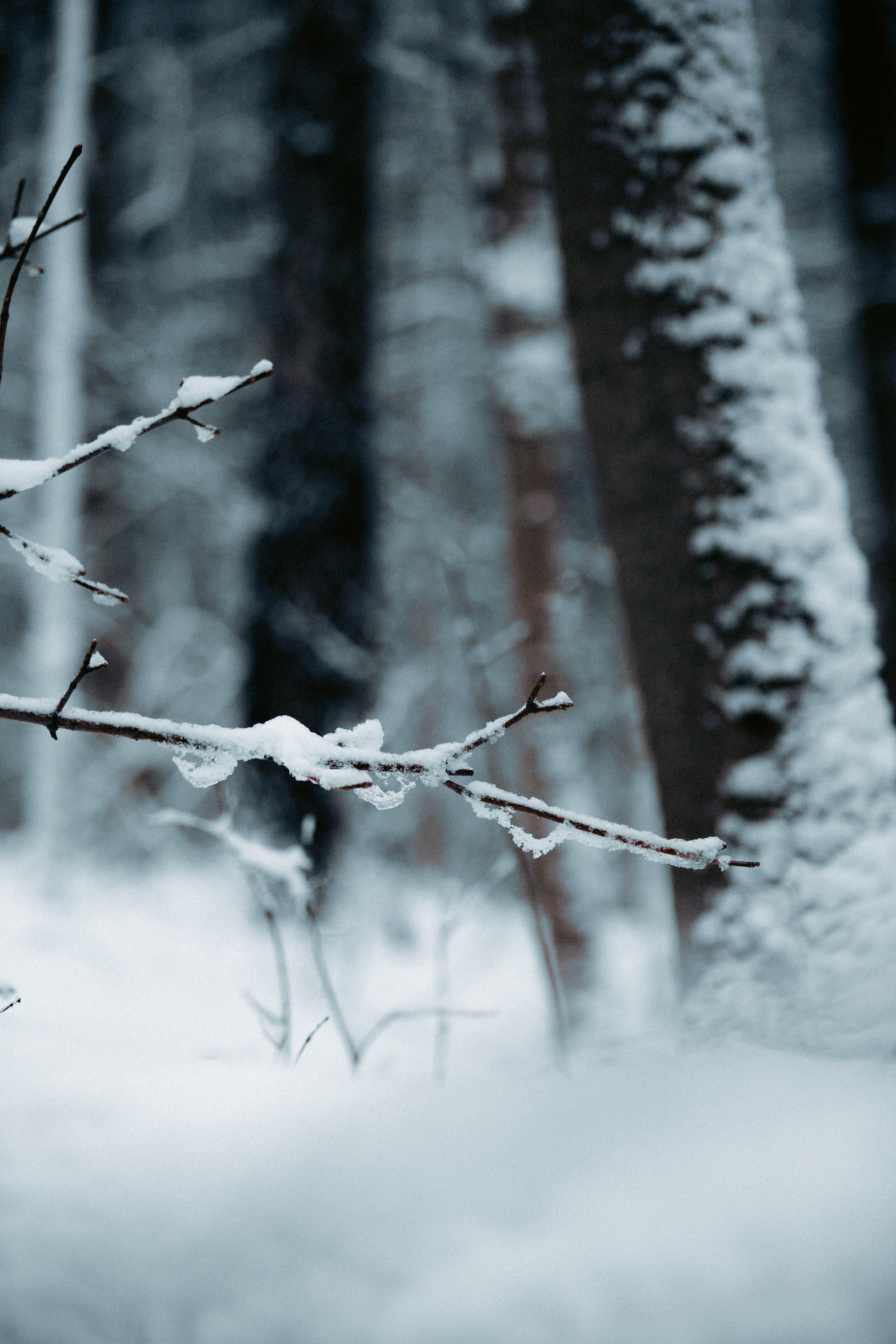 Марафон у дома_Бунино. Александра Мельниченко/ Бегающий фотограф