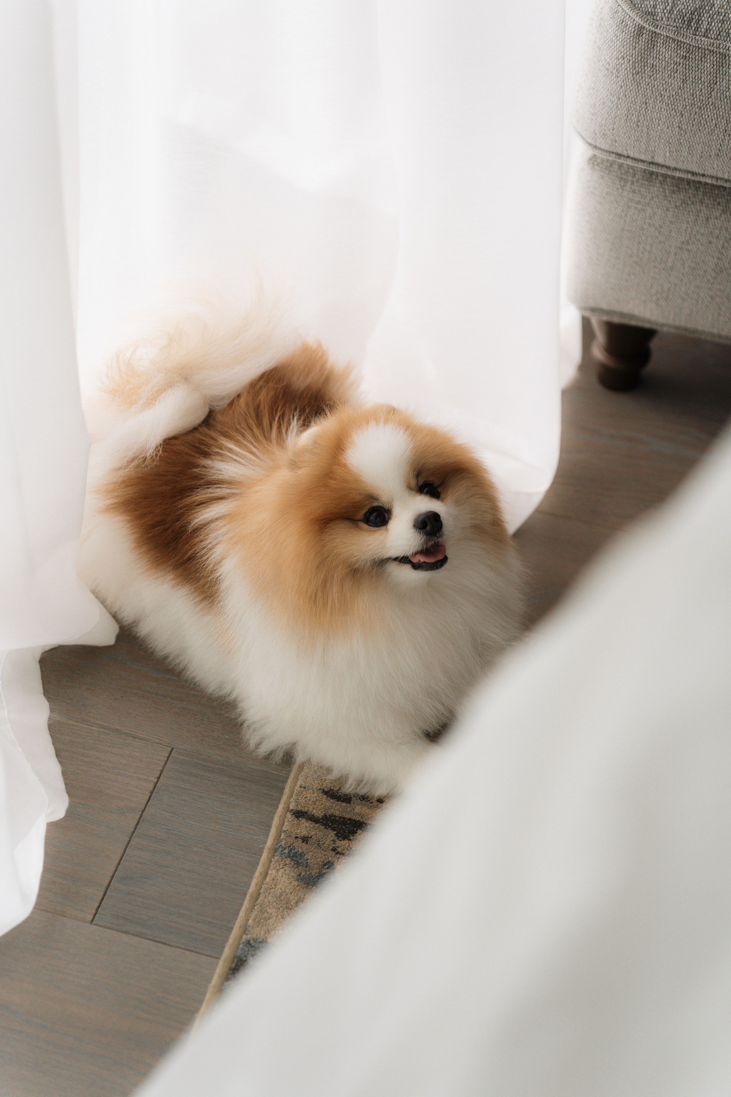 Розовые грёзы| Sugar Velvet. Свадебный и портретный фотограф Алена Седининна в Крыму