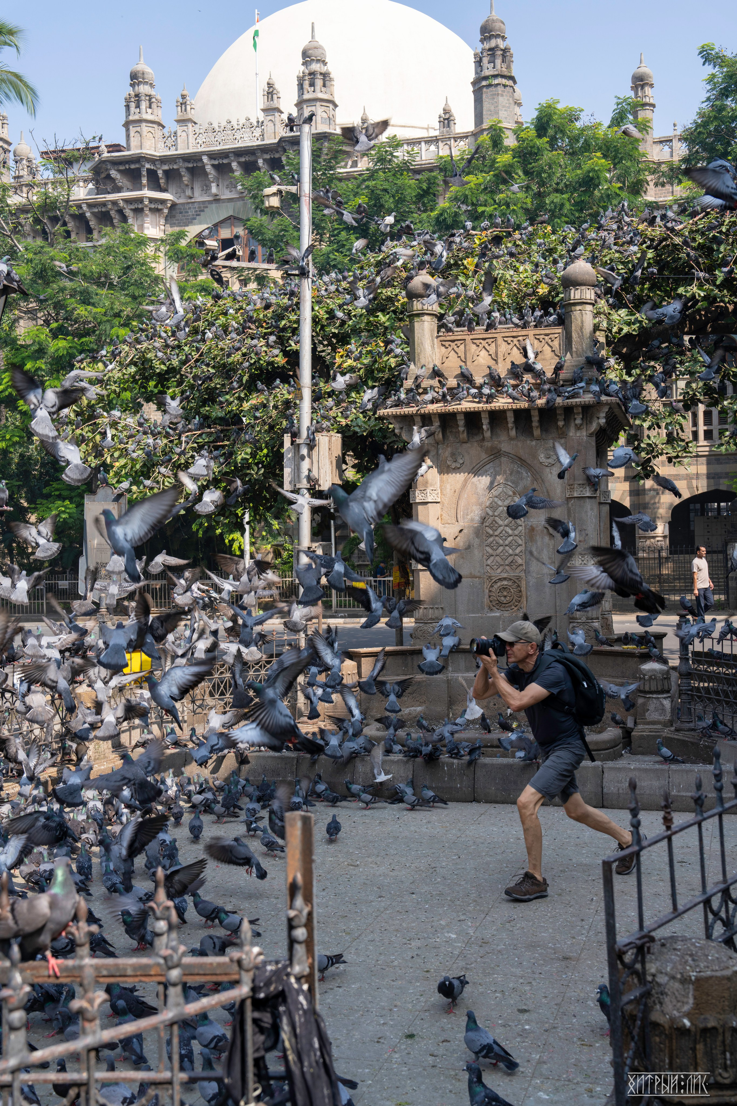 Гоа-Мумбаи. Фотограф-путешественник Самойлов Максим «Sly Fox»