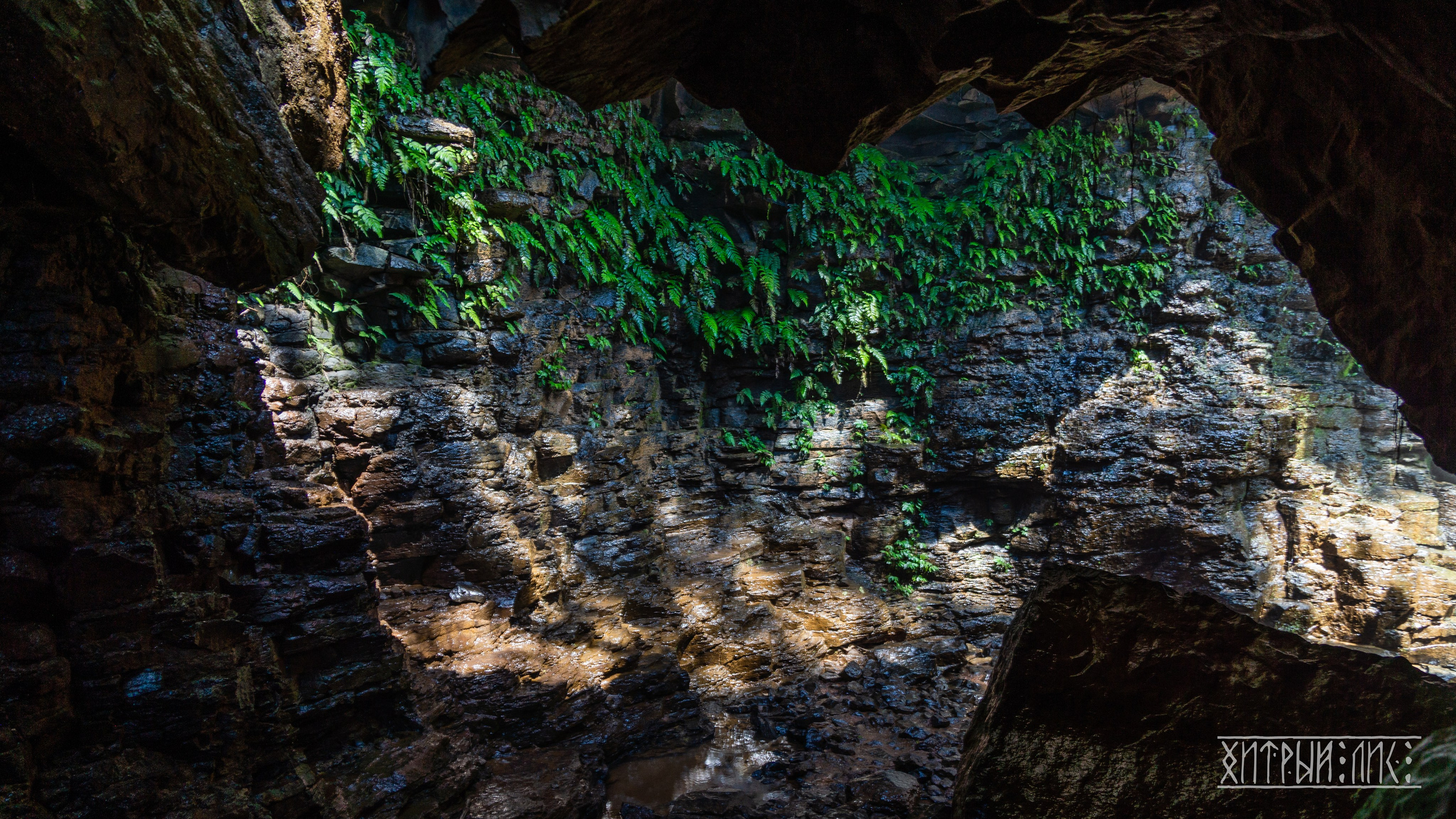 Вьетнам. Фотограф-путешественник Самойлов Максим «Sly Fox»