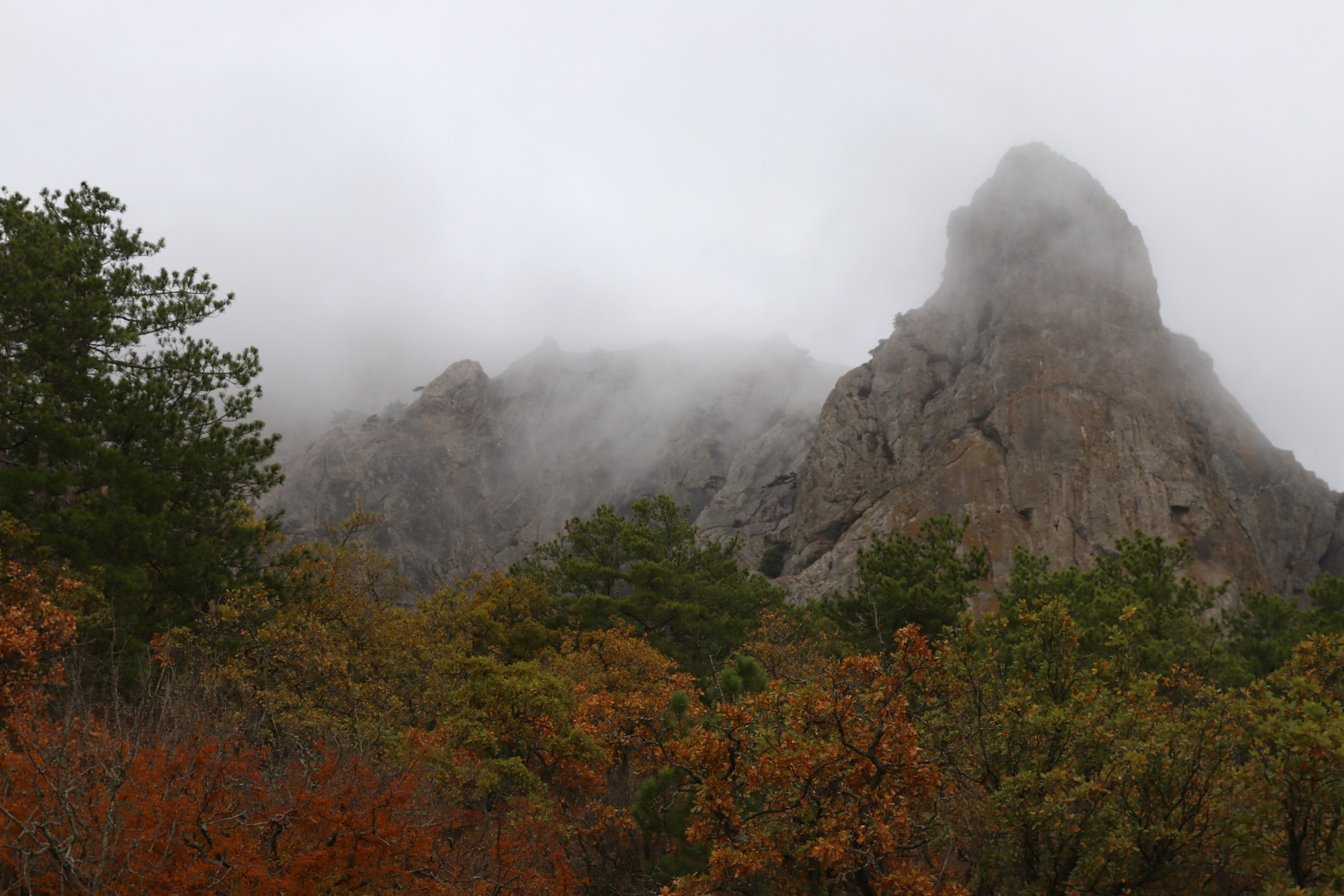 Крым. ЮБК (Гурзуф, Судак и их окрестности). Ноябрь 2023. Путешественник-фотограф из Санкт-Петербурга Татьяна Свистулина