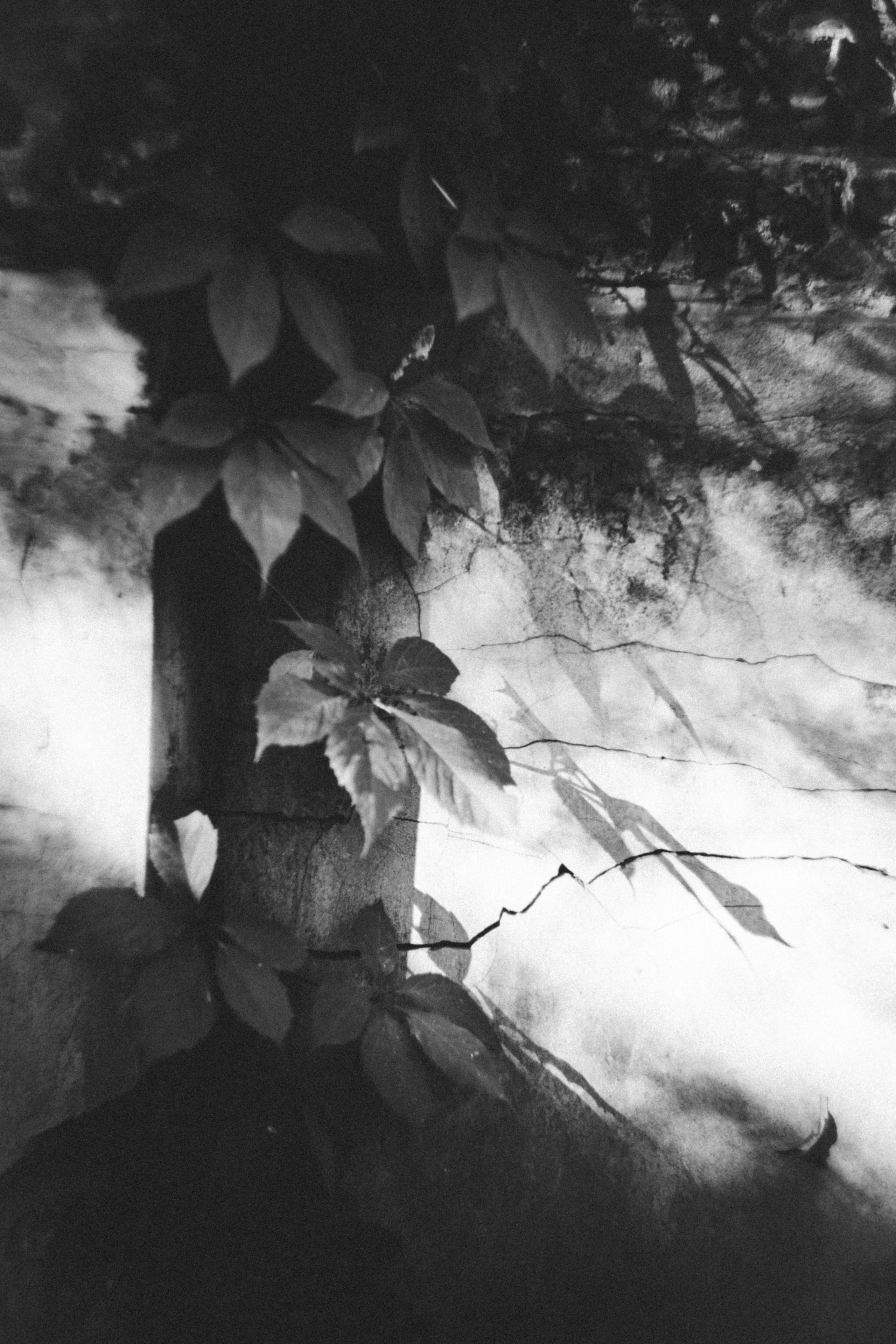 Влада. Холодный переулок. Фотограф в Нижнем Новгороде