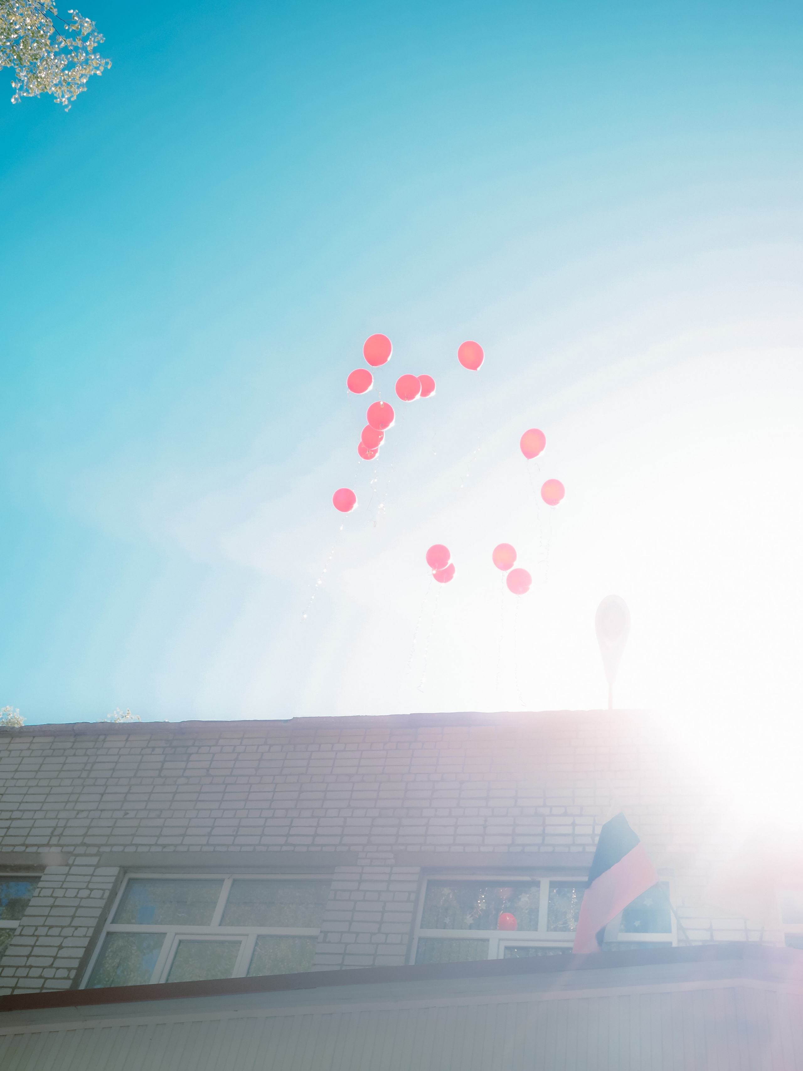 Последний звонок. Фотограф Рязань. Семейный Свадебный фотограф