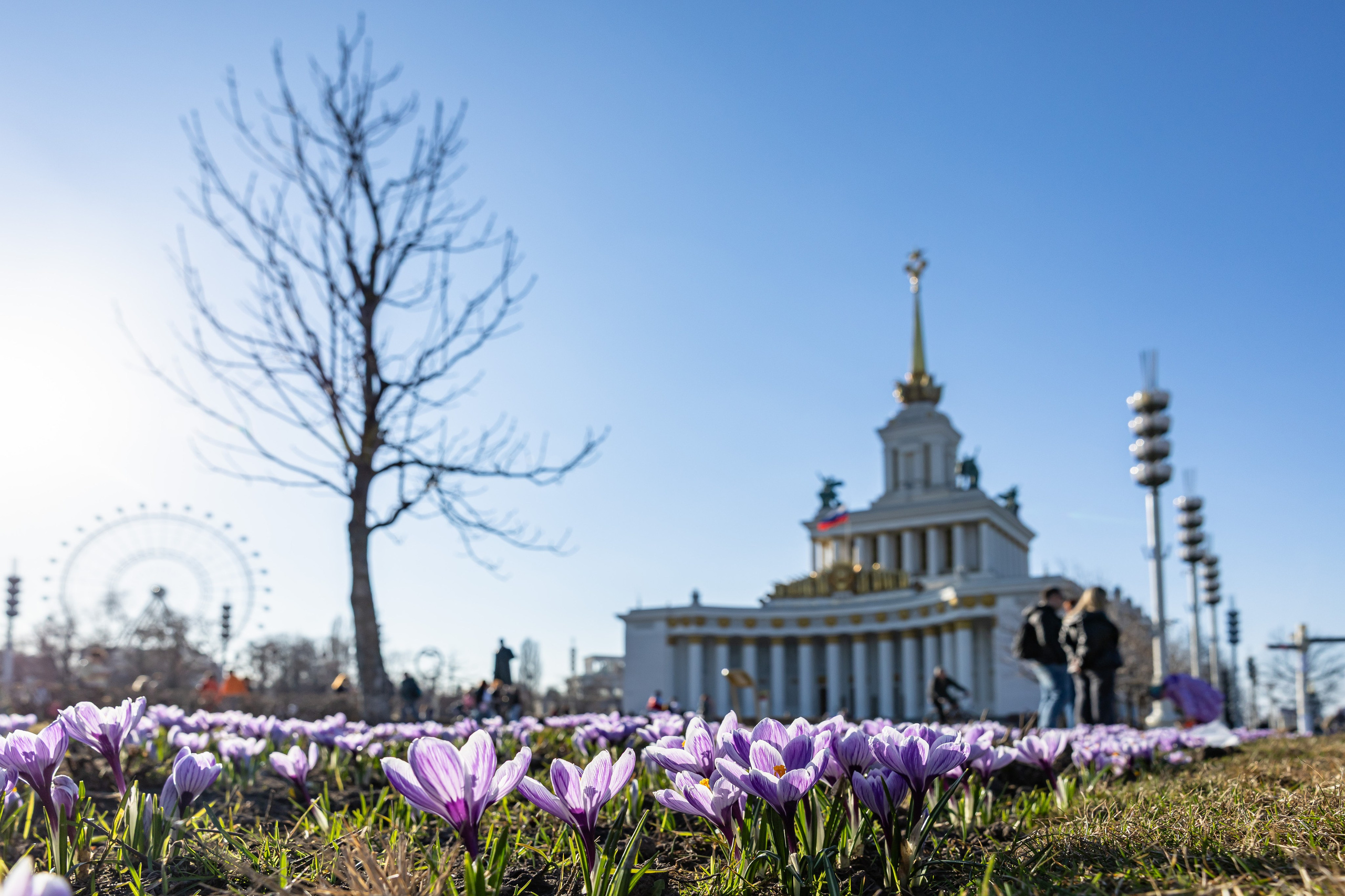 Городской пейзаж. Фотограф Владимир Охрименко