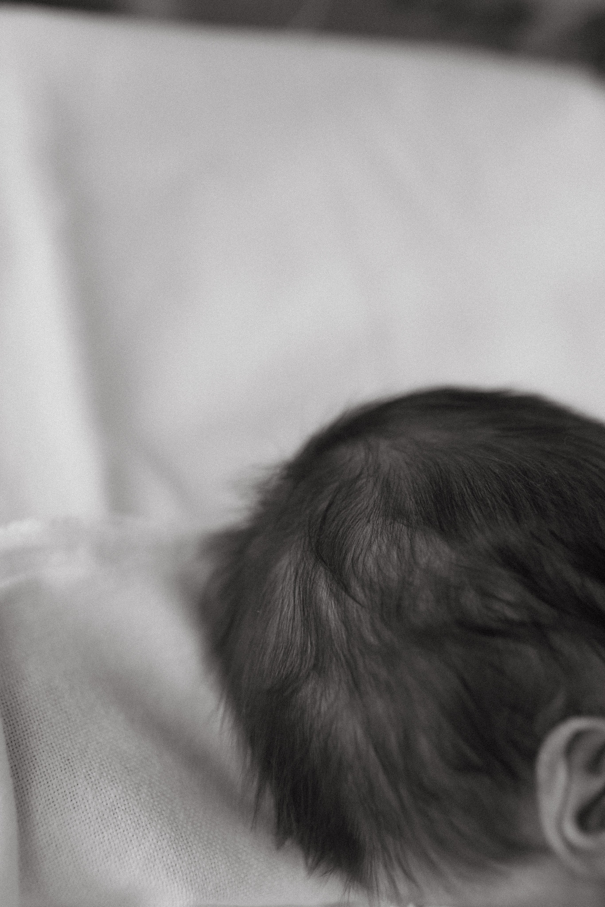 Выписка Арины. -