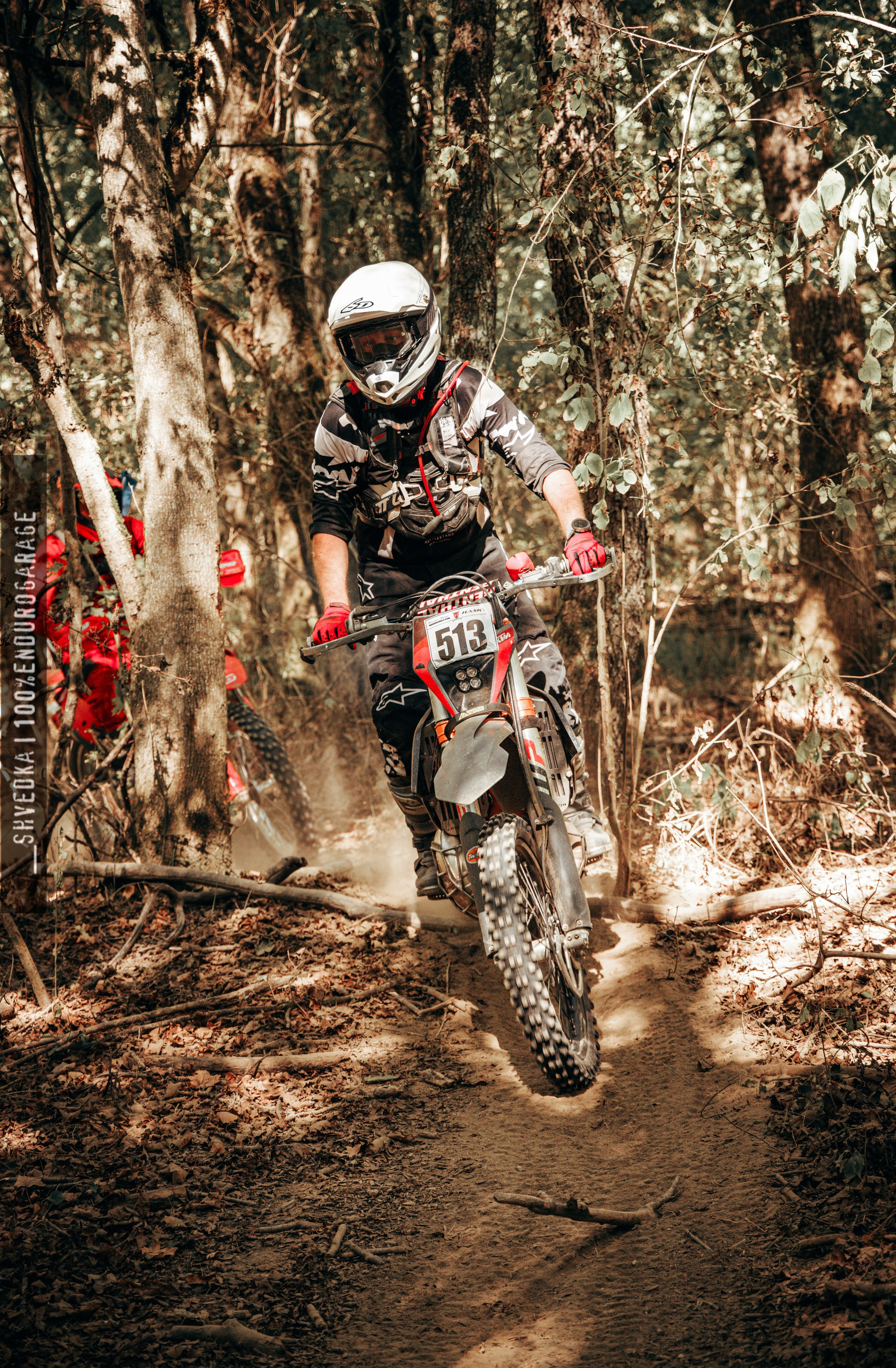 1 лесной день. Ваш экстрим фотограф Кудрева Яна