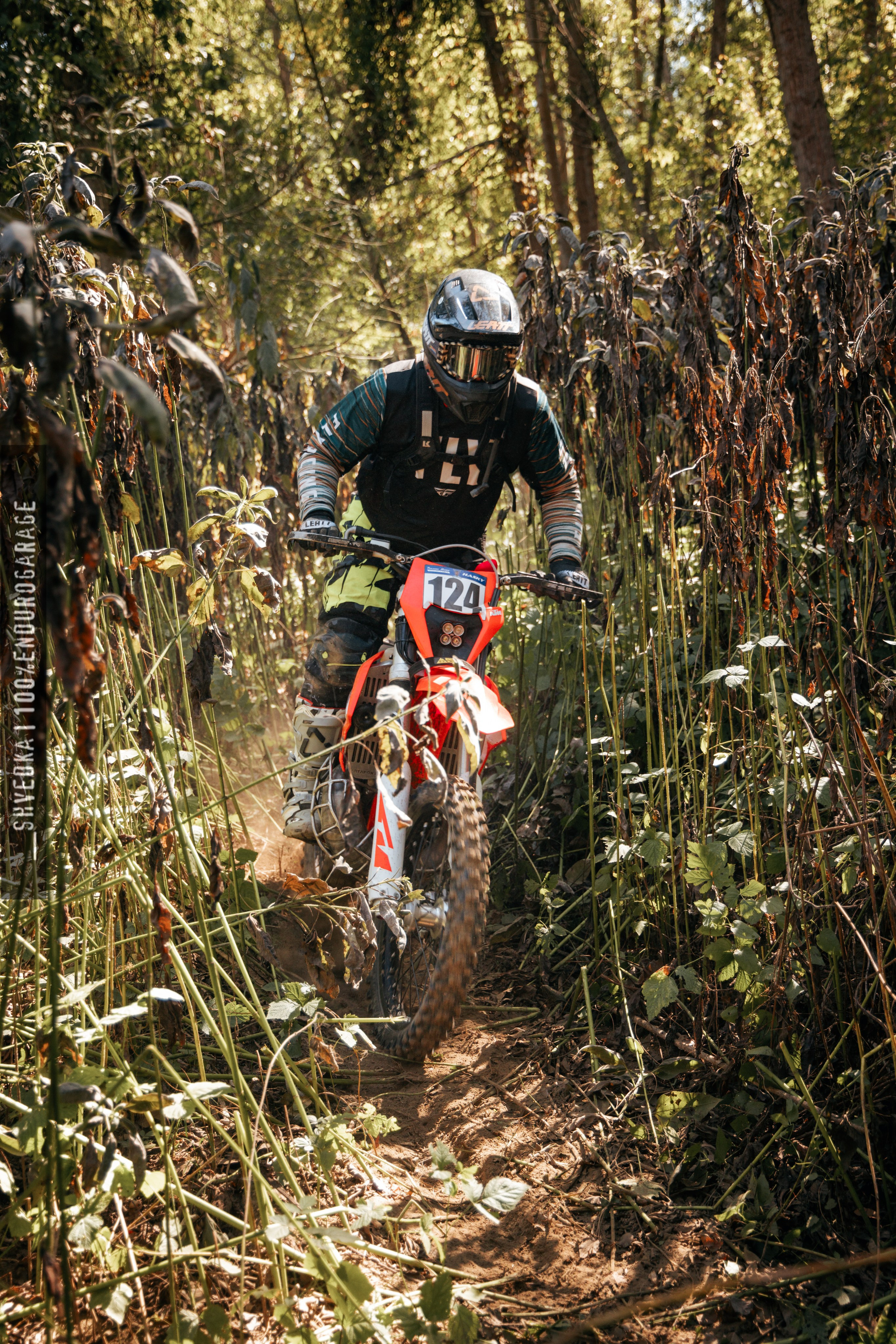 1 лесной день. Ваш экстрим фотограф Кудрева Яна