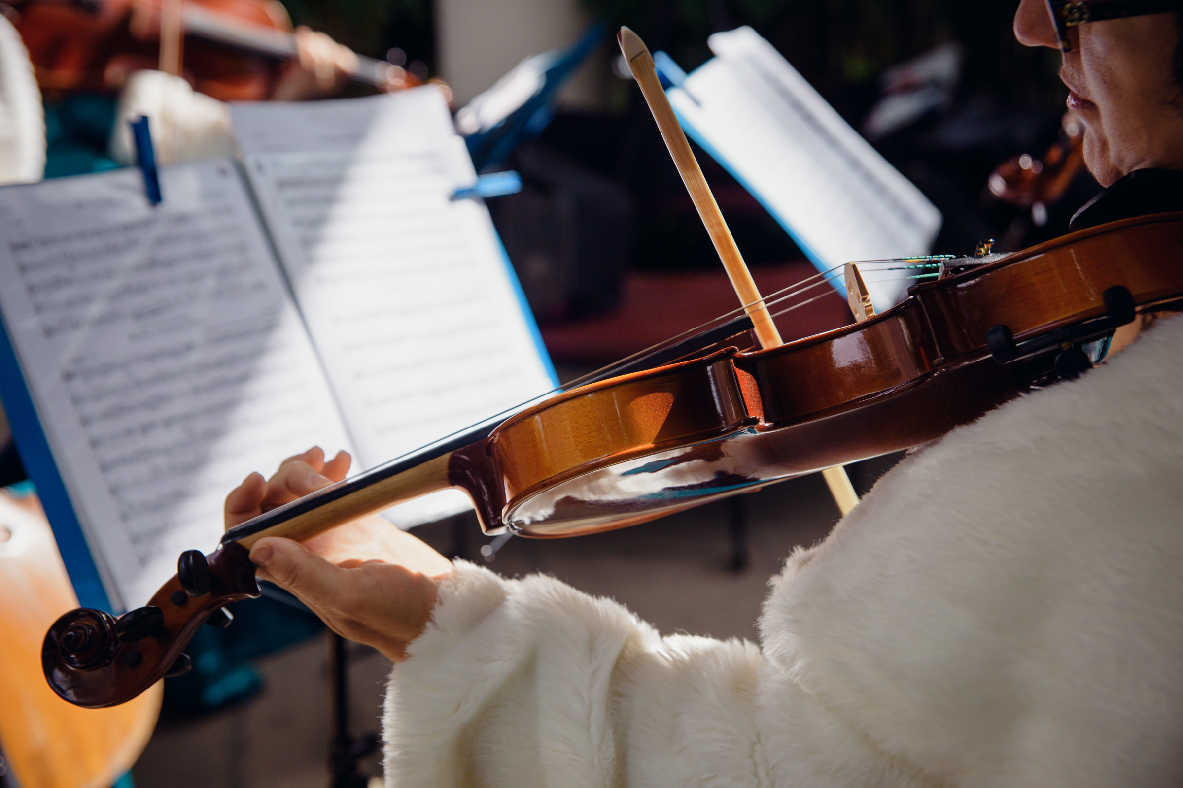 фотосъемка выездной регистрации 