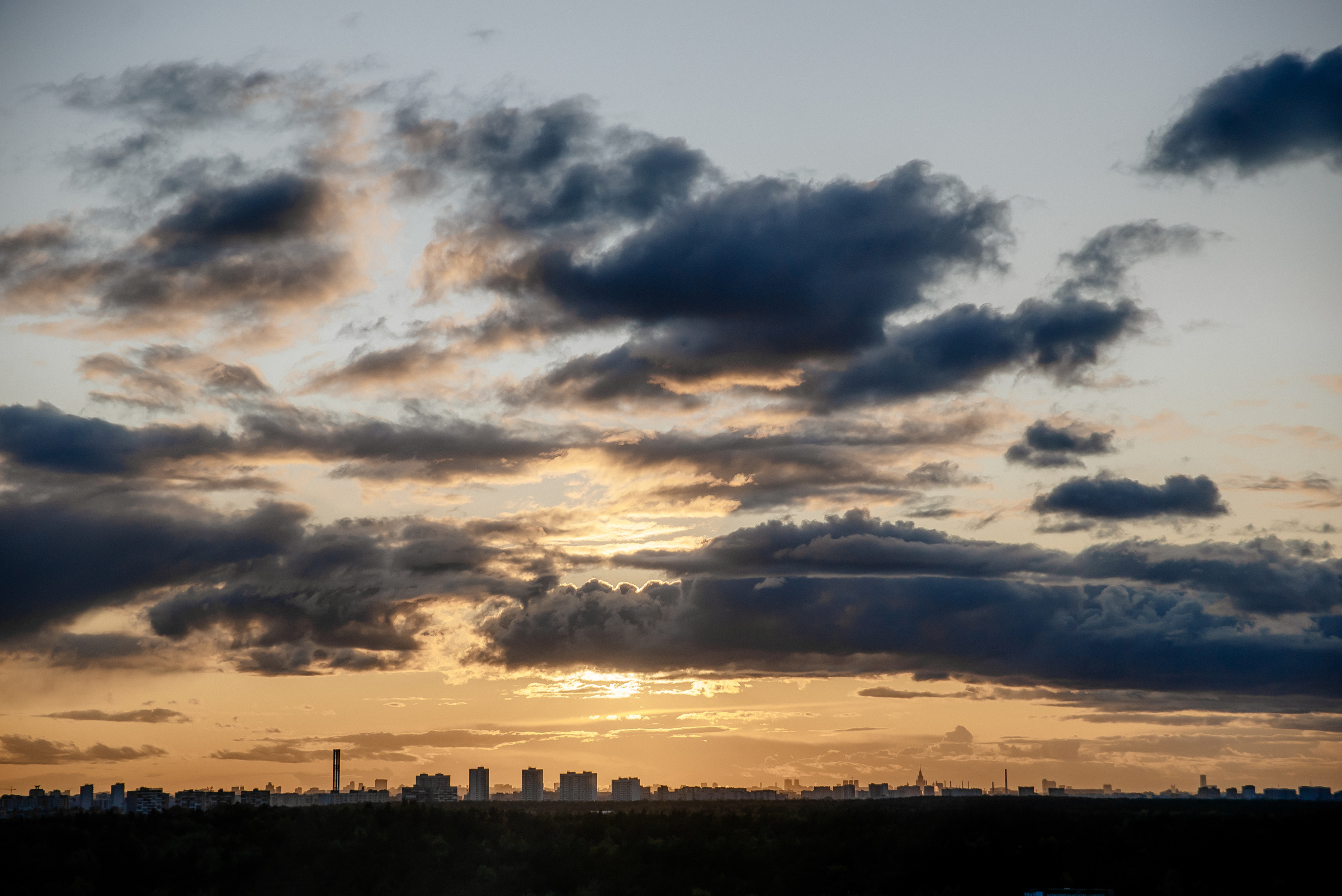 Осенняя свадебная фотосъёмка. Видеограф и фотограф на свадьбу в Москве