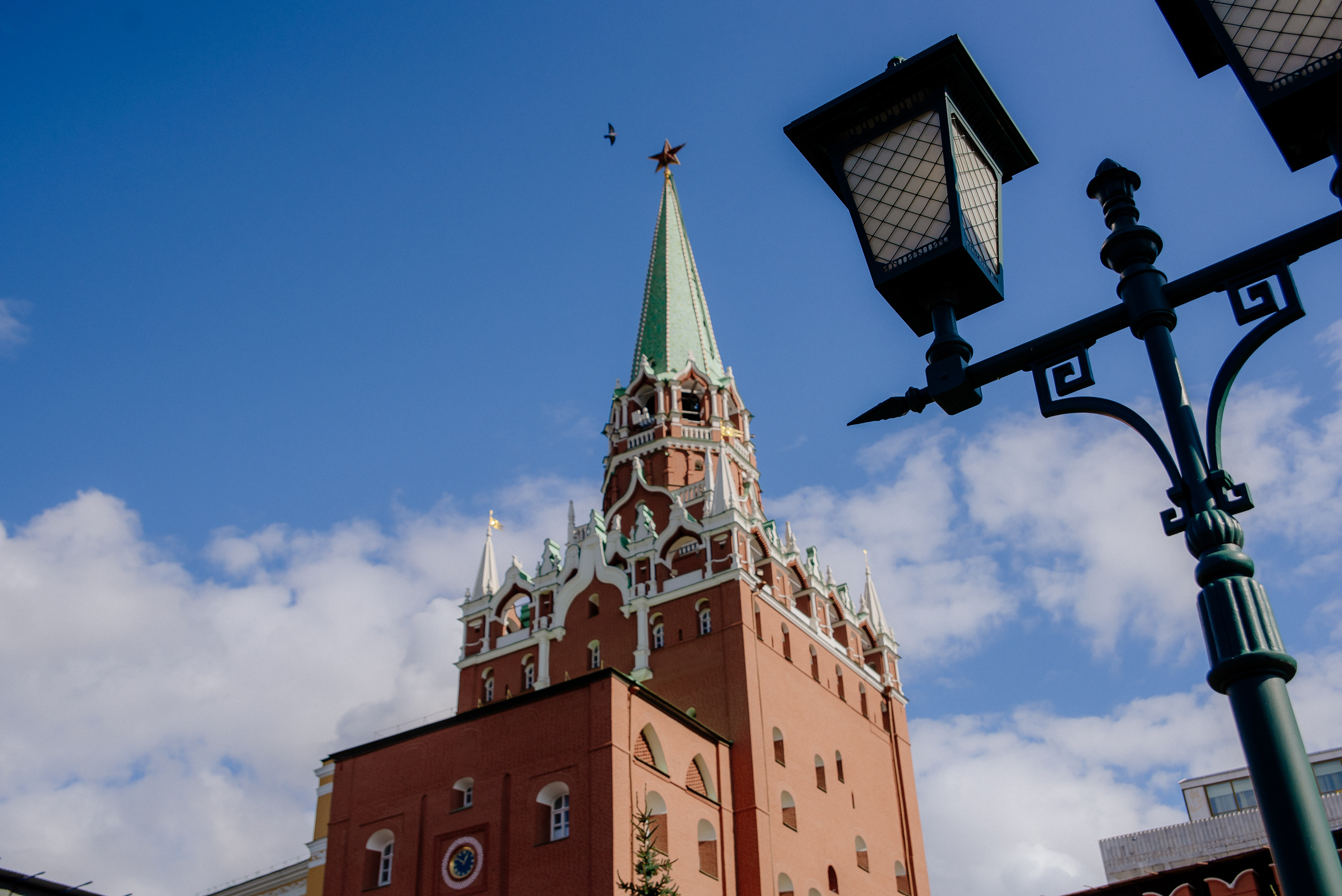 Осенняя свадебная фотосъёмка. Видеограф и фотограф на свадьбу в Москве