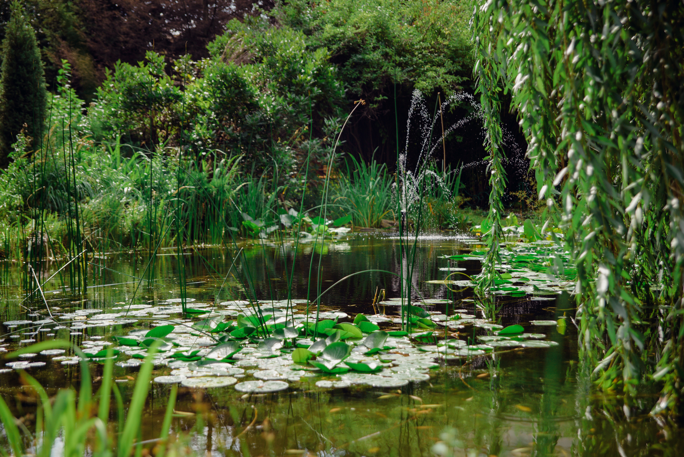 фото и видеосъемка выездной регистрации