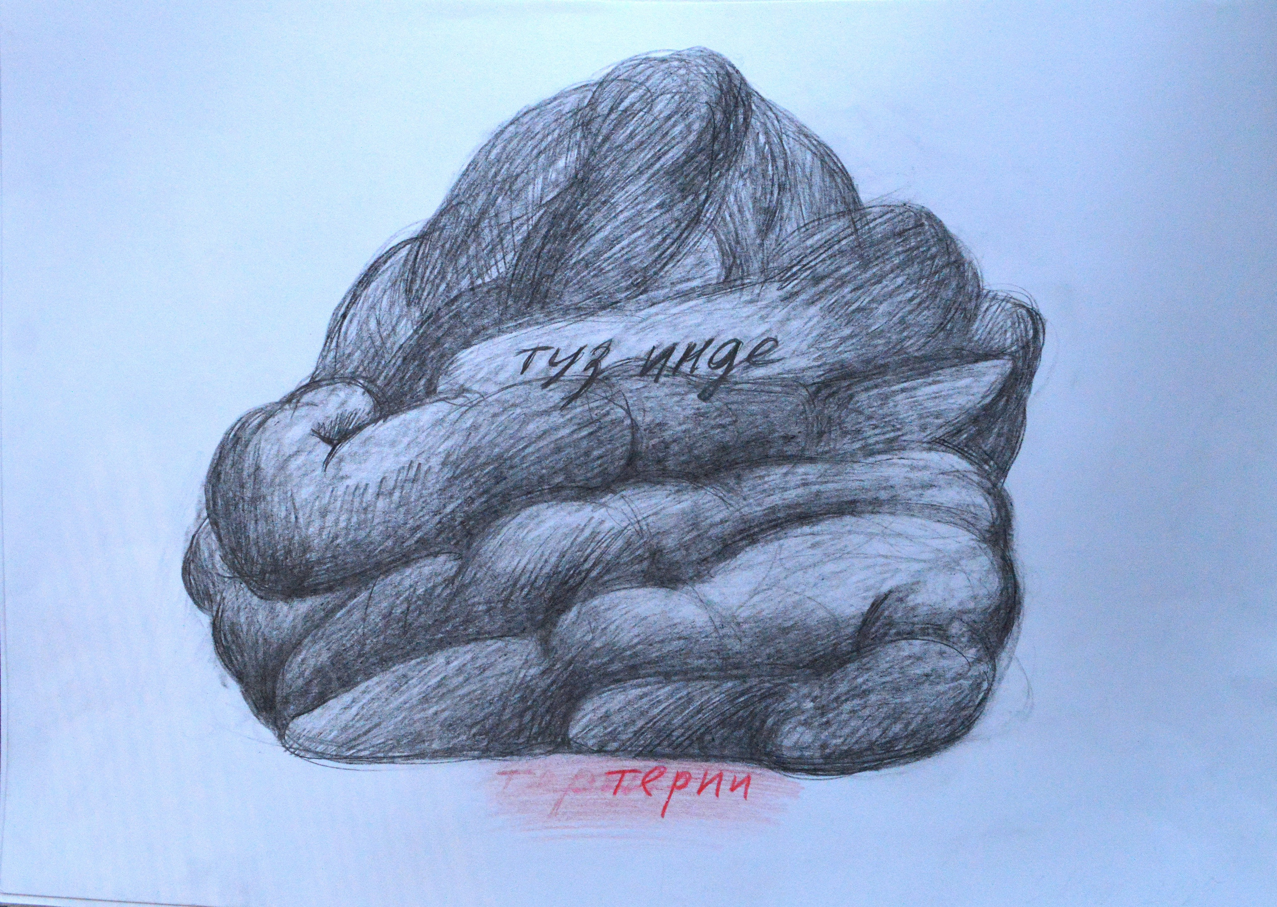 Серия «Туз инде. Тырыш инде.» 2025. Лилия Ким. Междисциплинарный художник