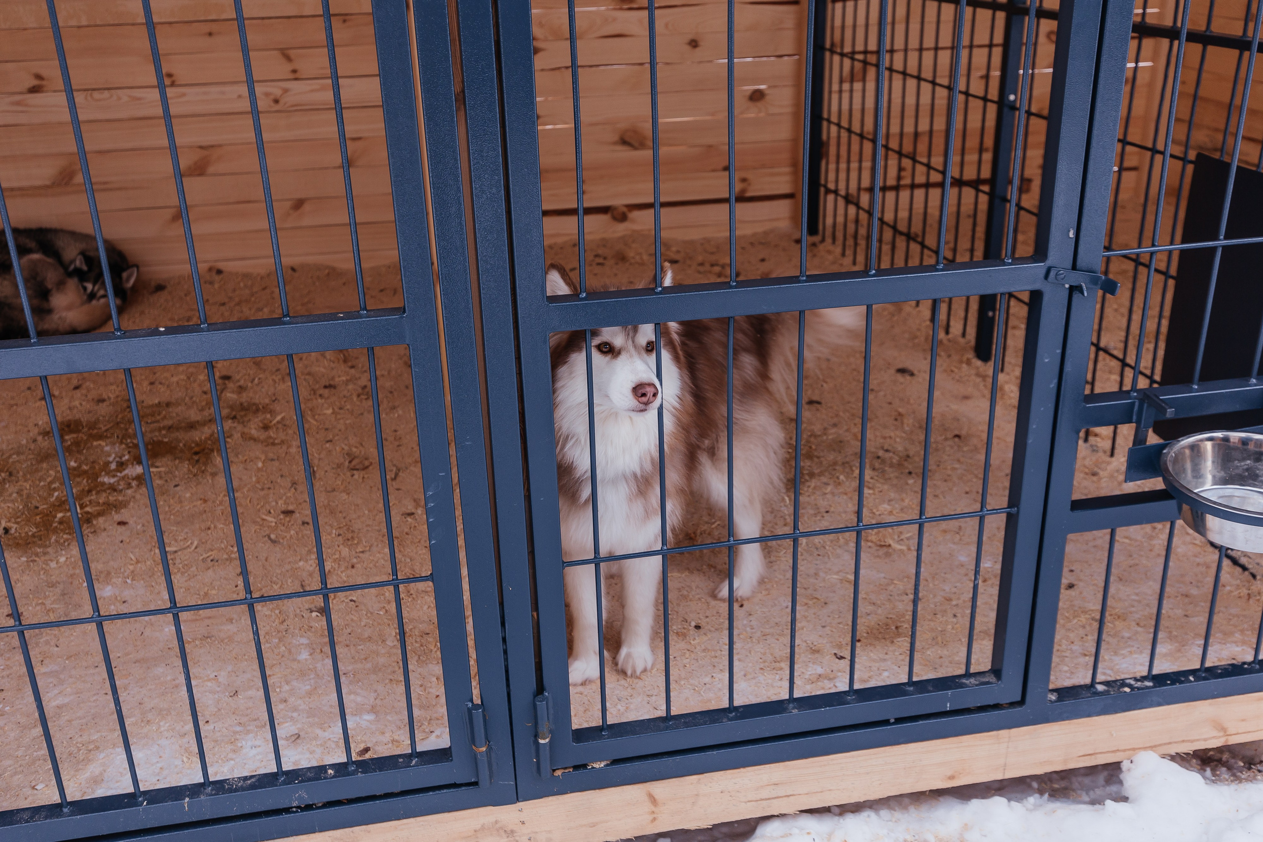 Jaecoo J7 6.0. Фотограф в Самаре / Олеся Широнина