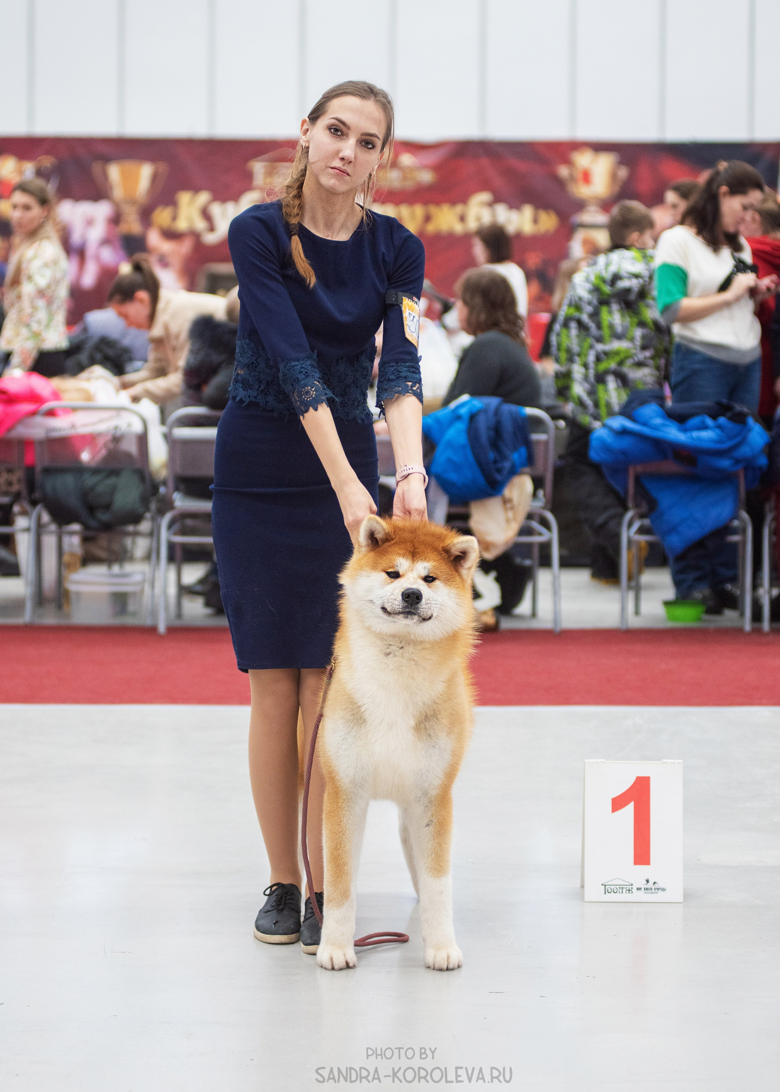 Выставка собак тюмень 14.01.2023. Дог-фотограф в Тюмени Александра Королева