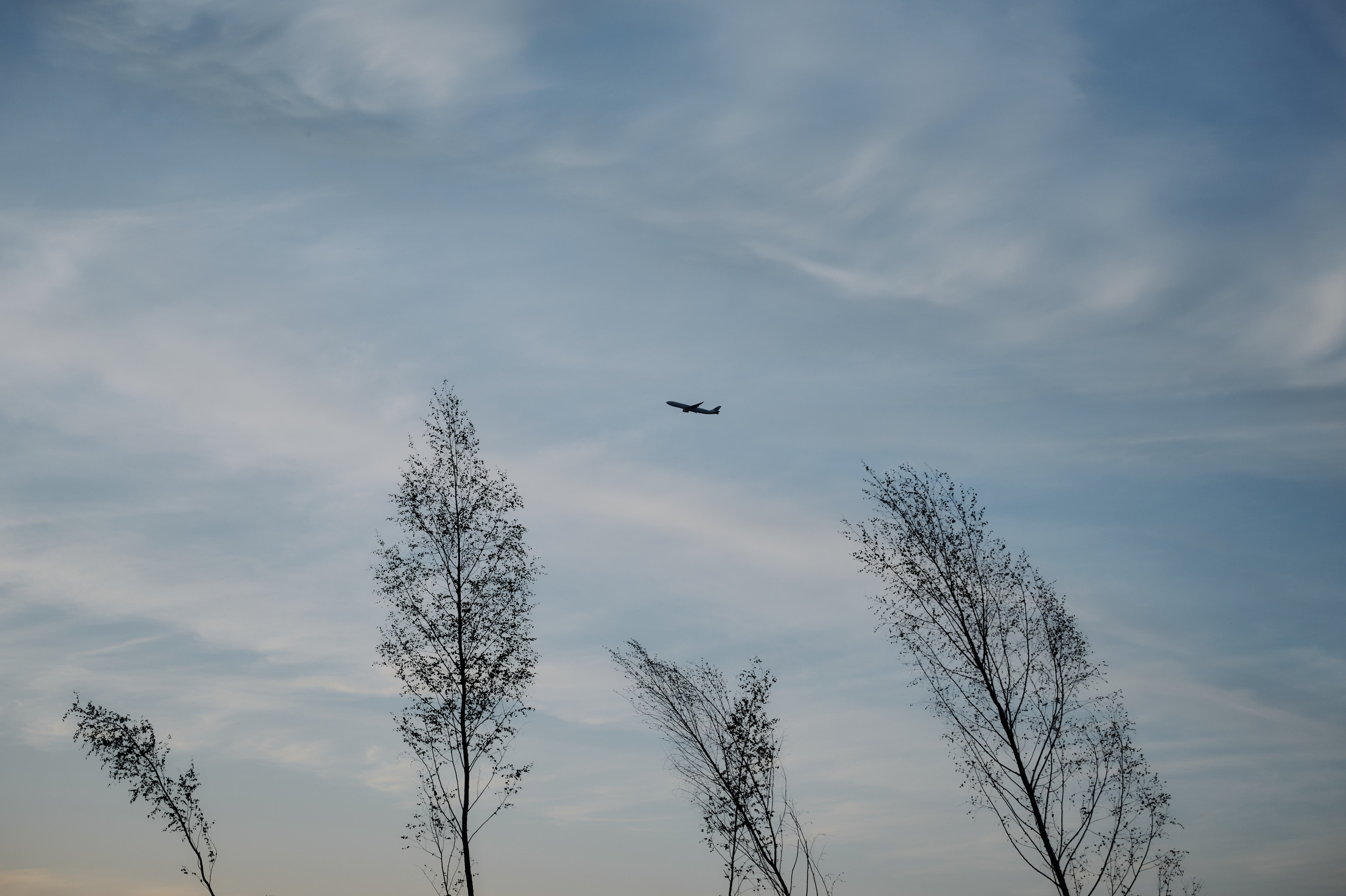 M&L. Свадебный и репортажный фотограф