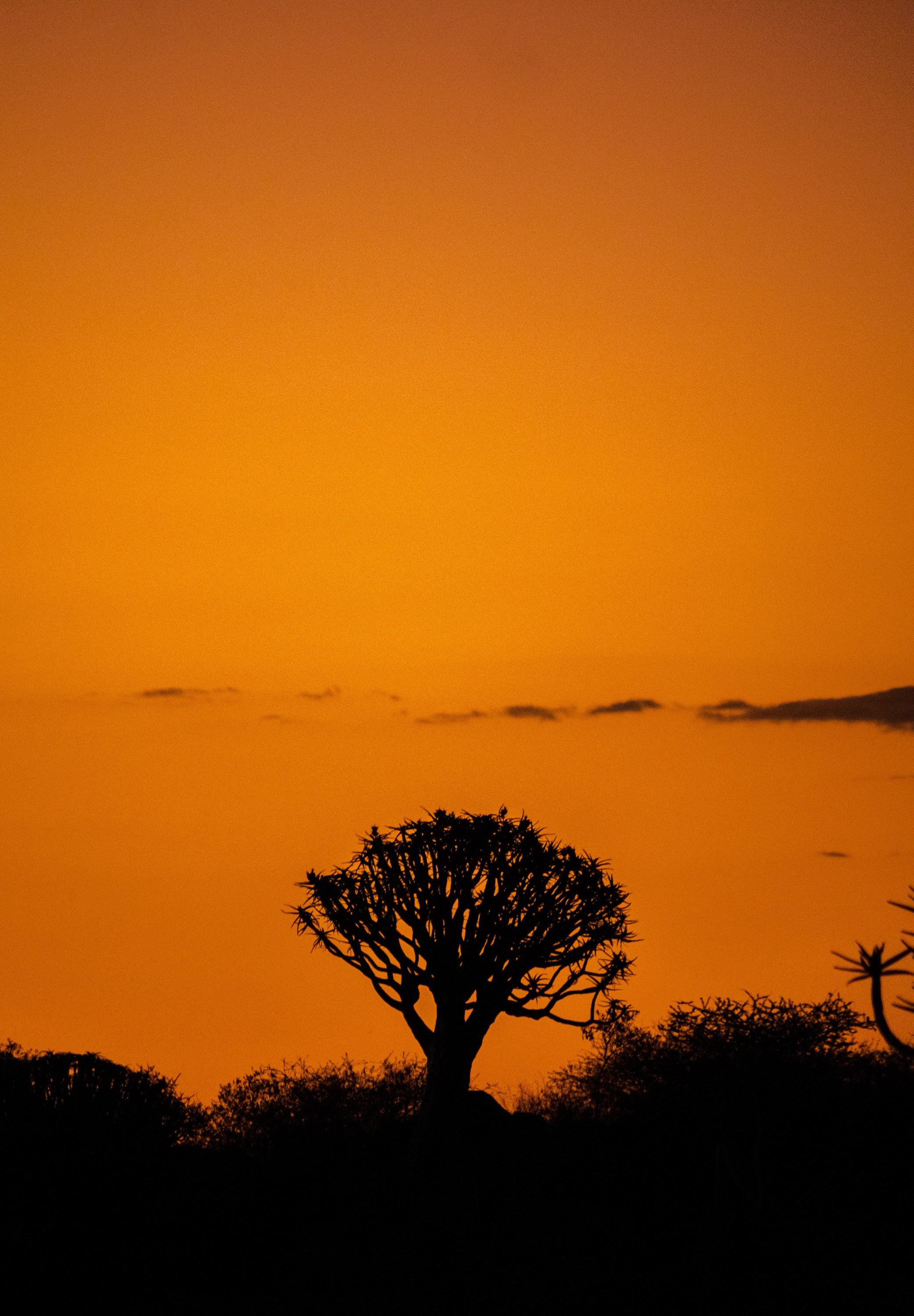 НАМИБИЯ. Роадтрип