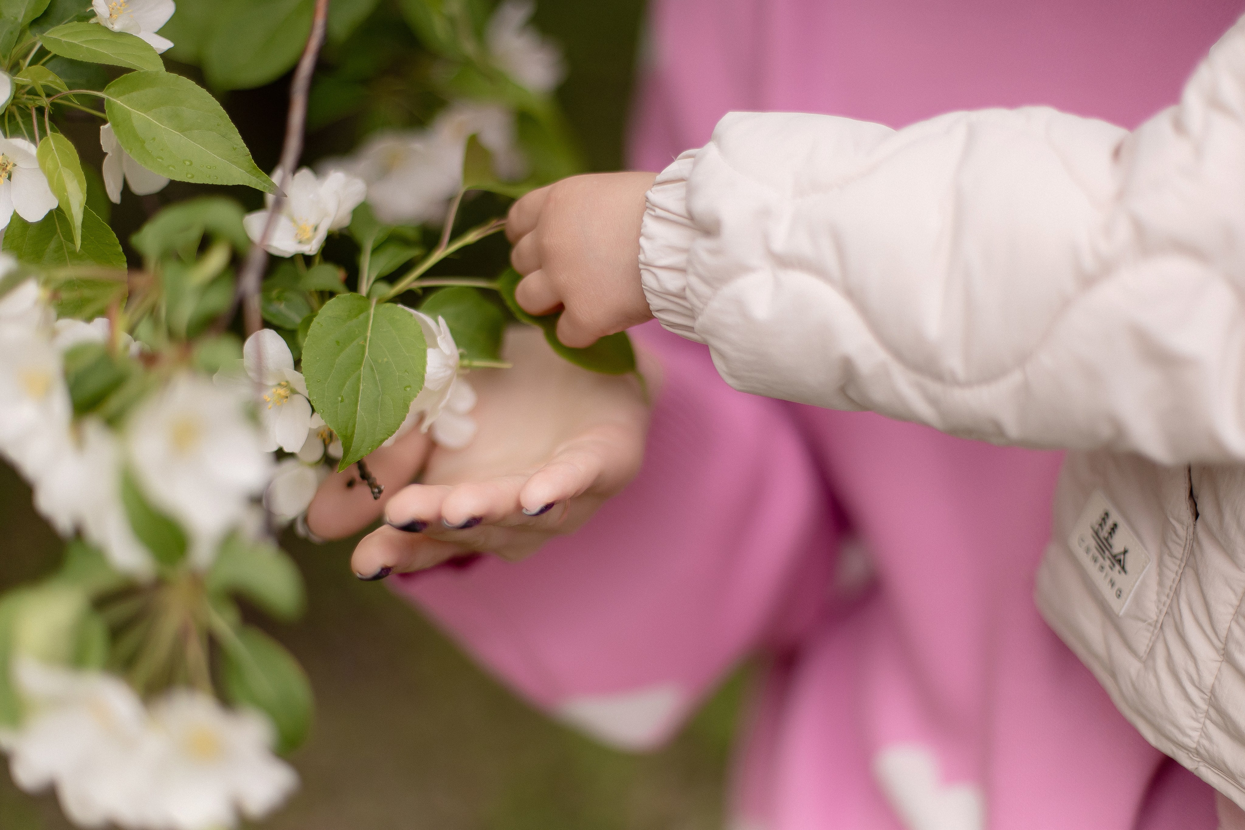 Таня и Анюта. Свадебный и портретный фотограф в Миассе Филиппенко Дарья