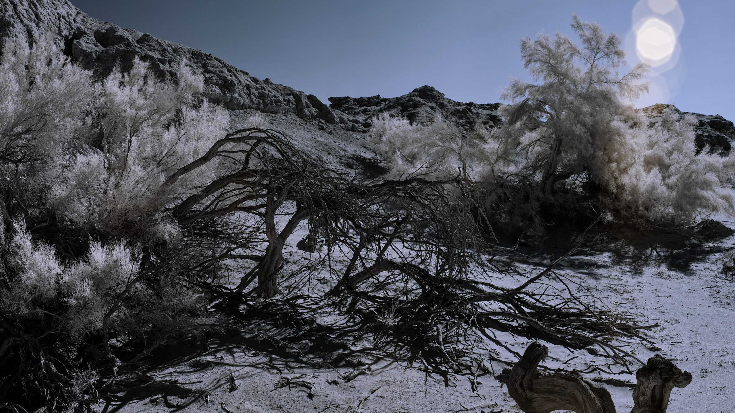 Экспедиция в Монголию (Гоби). Семоха Валерий. Фотограф