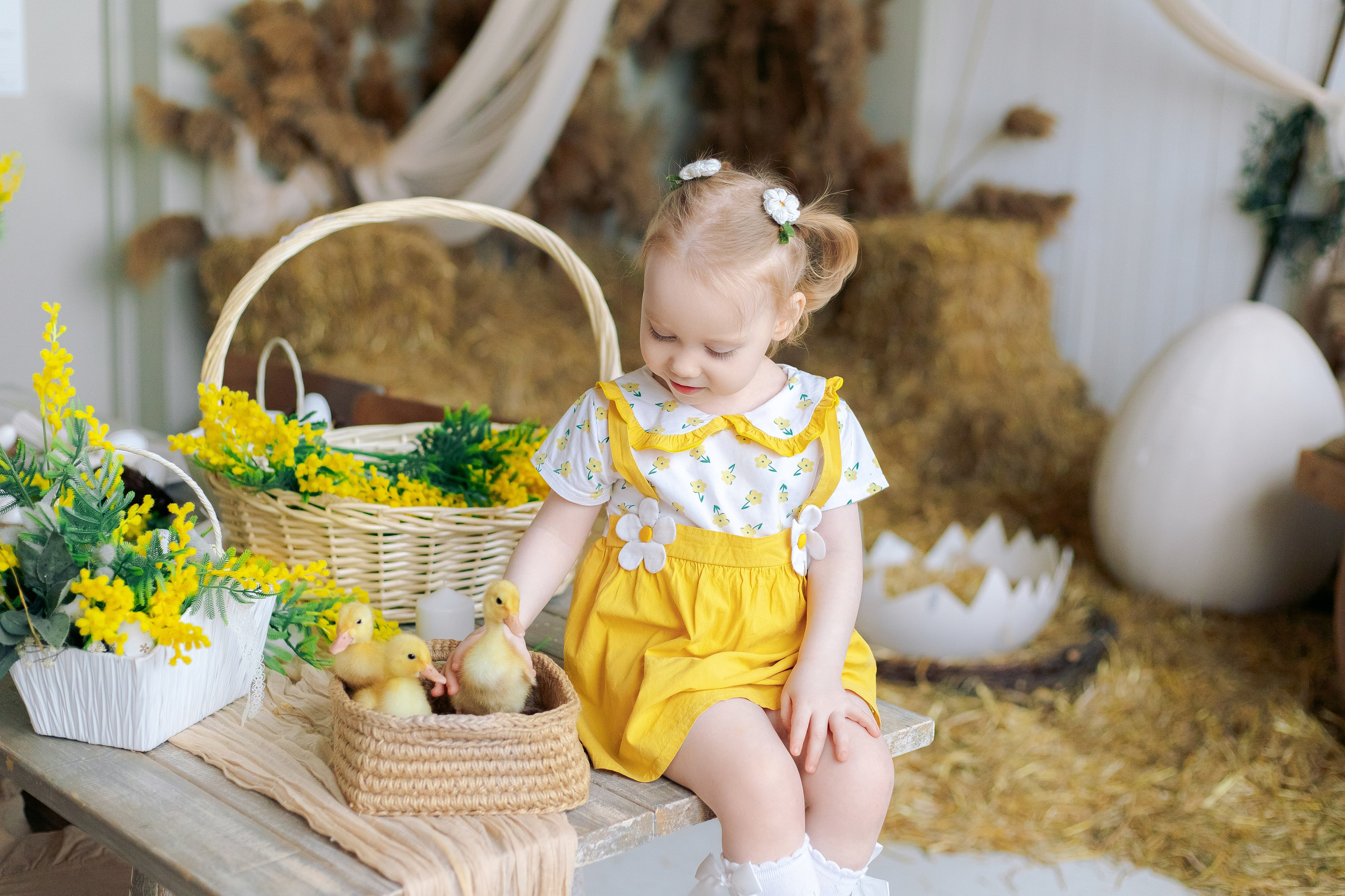 Пасхальная фотосессия с утятами в студии. Семейный фотограф Анна Скворцова