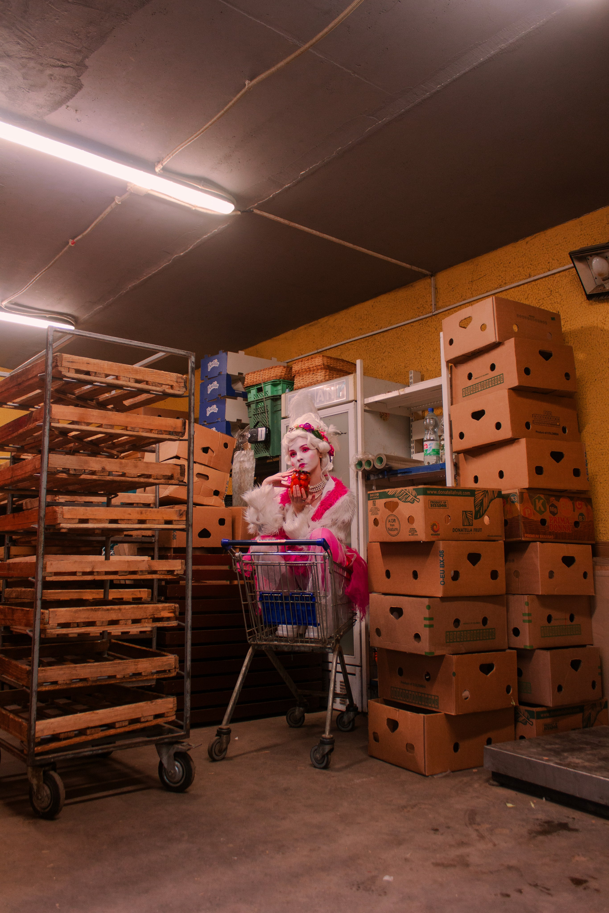 Дама, а вы к нам откуда?