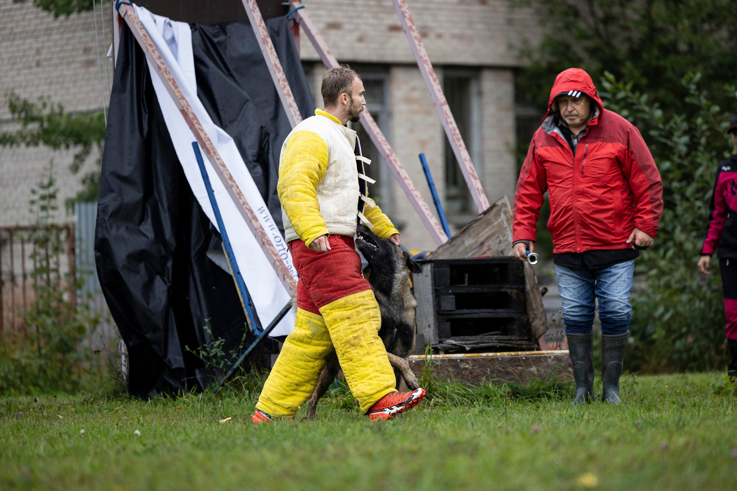 Испытания по Мондьорингу г. Пушкин. Фотограф-анималист Анна Маринич