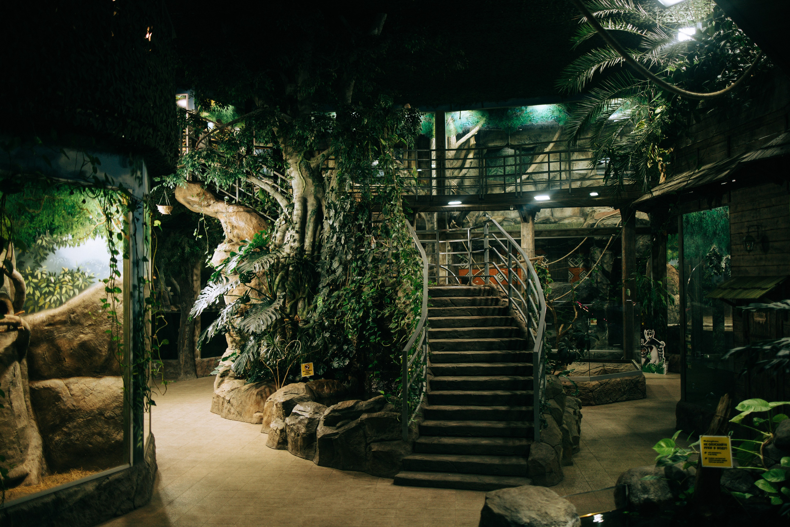 Осень, парк, экзотариум. Свадебный и семейный фотограф в Туле и области Маша Костина