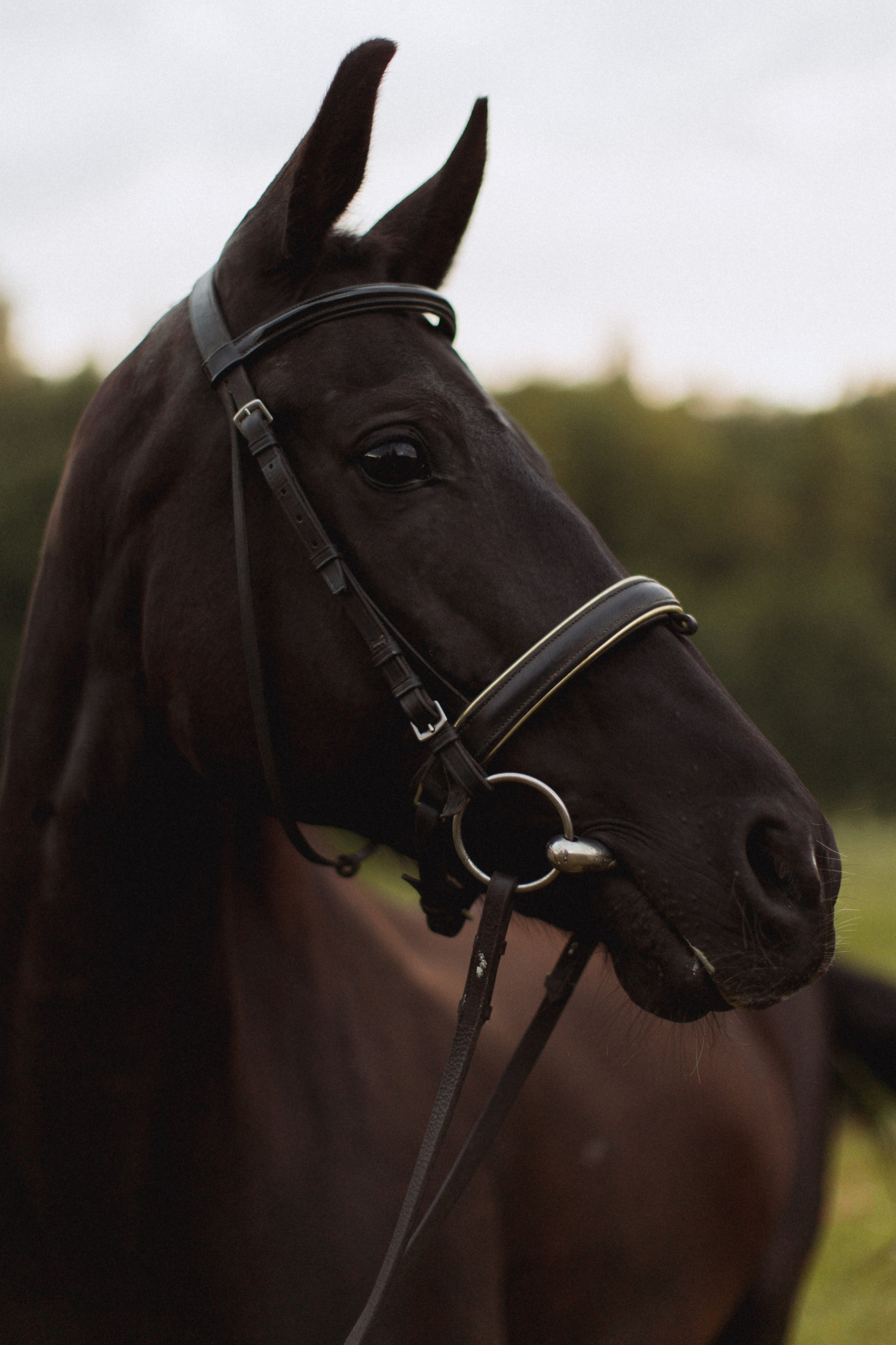 Поляна. VENSKAYA WEDDING & EVENT PLANNER