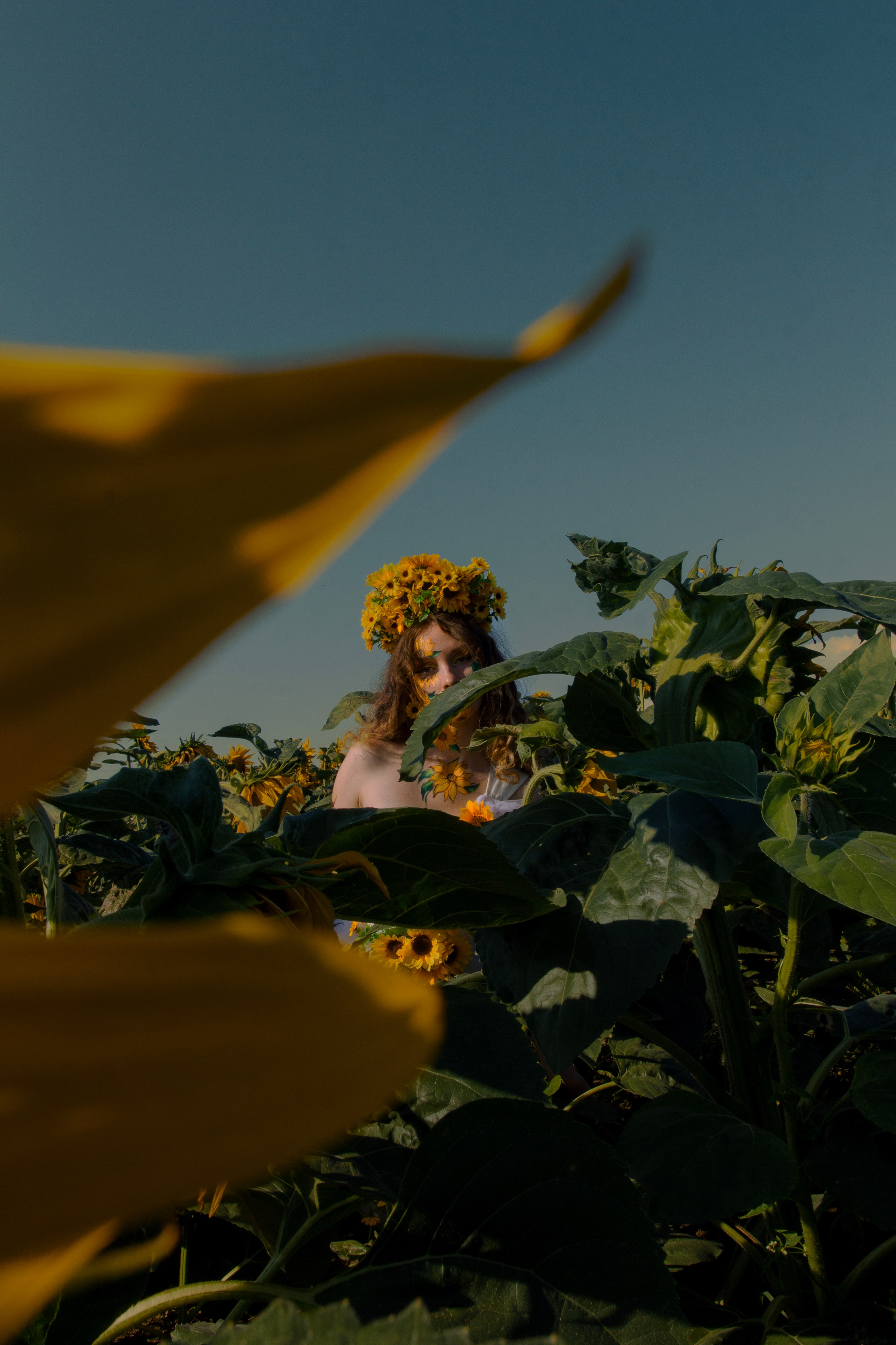 Совершенно летняя