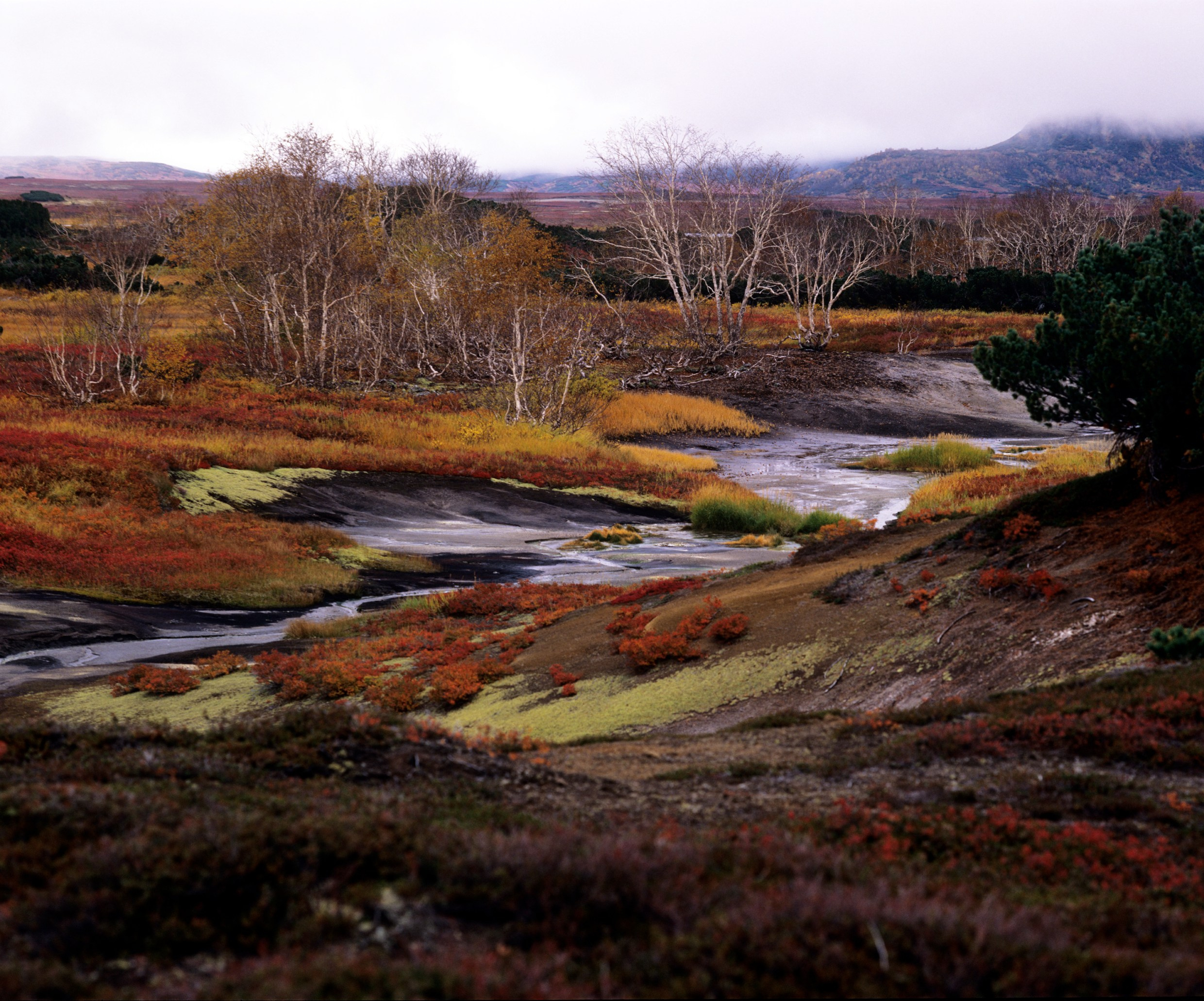 Камчатка. Кальдера Узон. ВАДИМ ГИППЕНРЕЙТЕР — ВЕЛИКИЙ ФОТОГРАФ ЗЕМЛИ РУССКОЙ