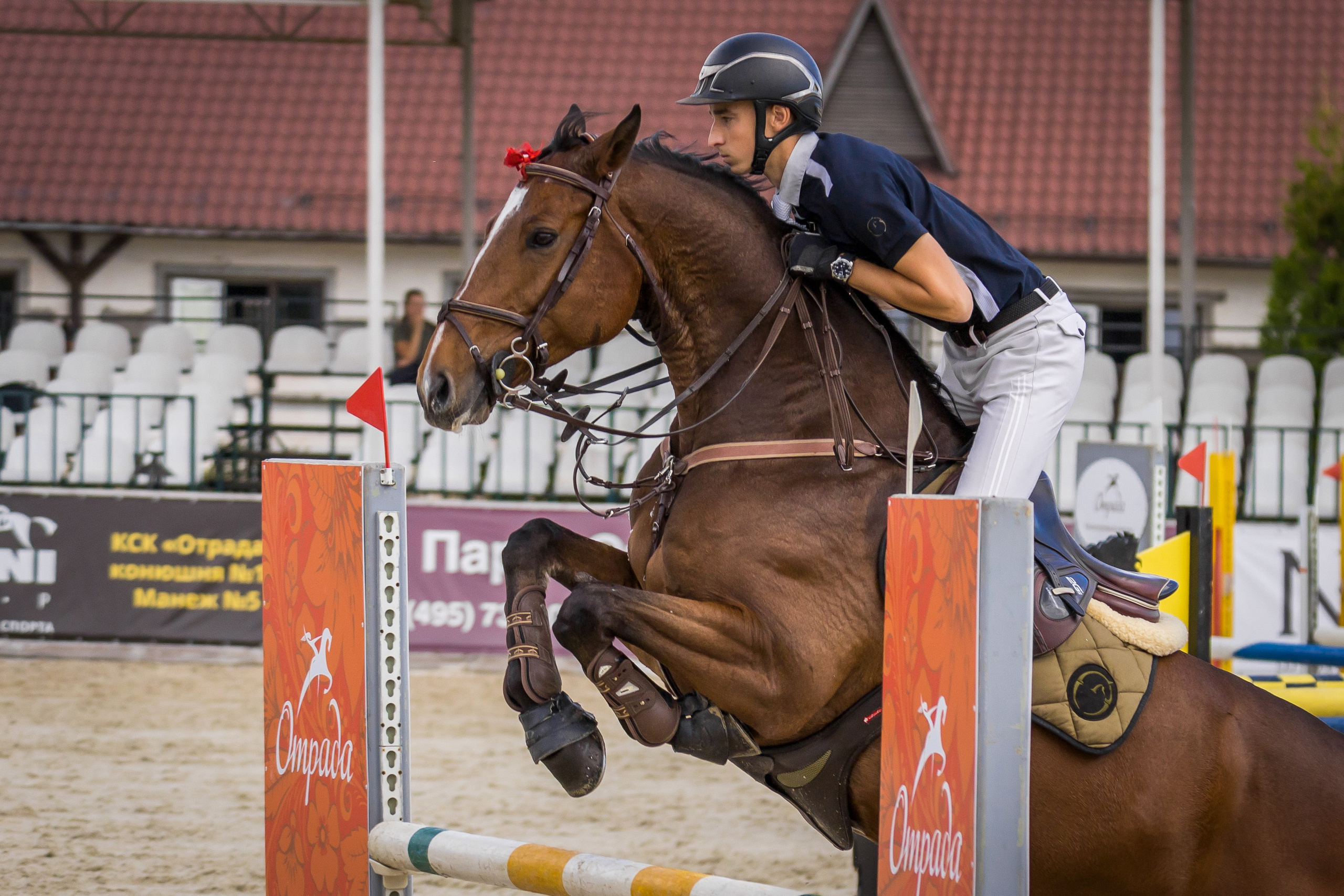 Конный спорт. Photomantis