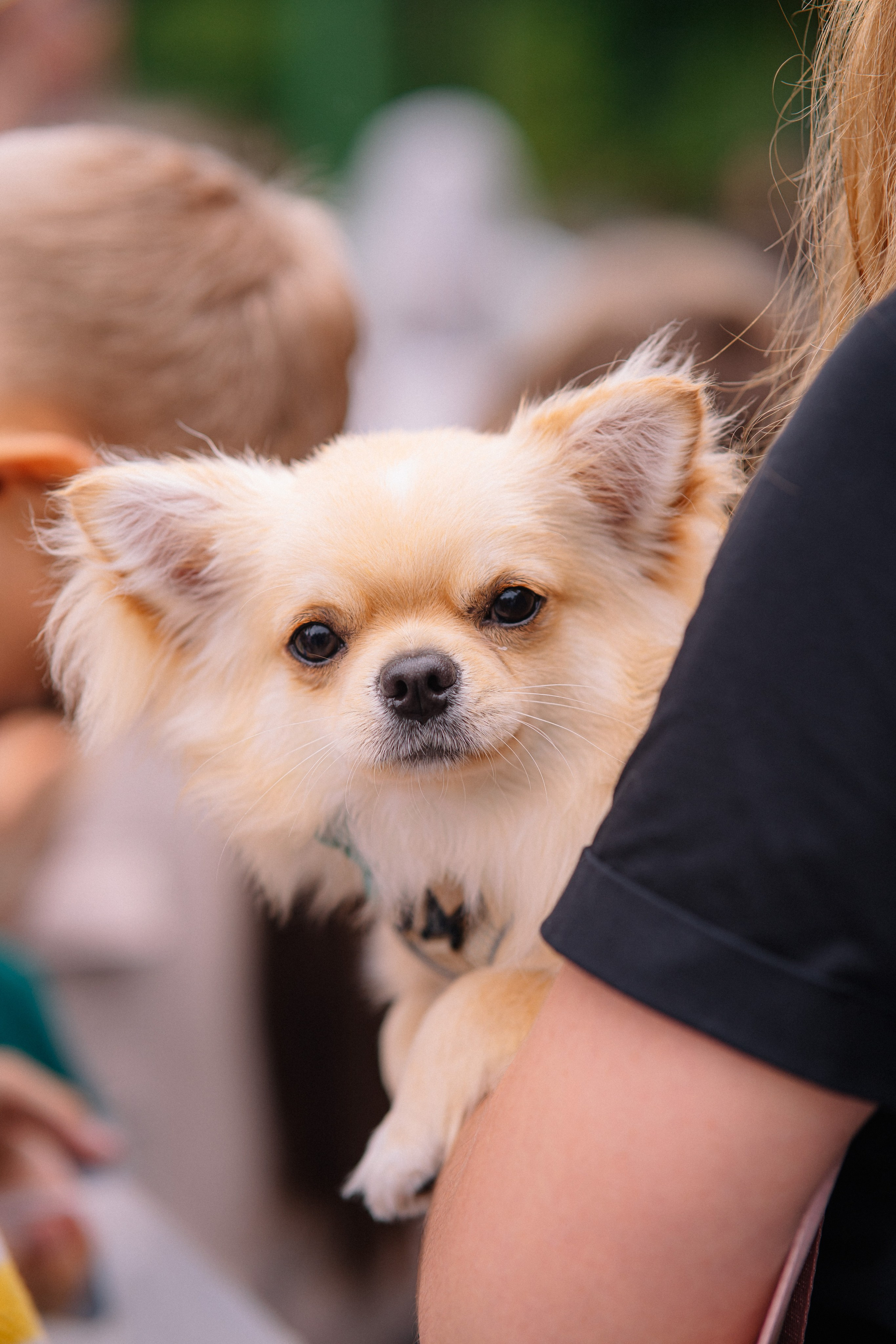 Фотоотчет ЛАПКИ ТАПКИ в Барнауле. Репортажный (Event) фотограф в Барнауле | Даниил Маркин | Качество и вайб
