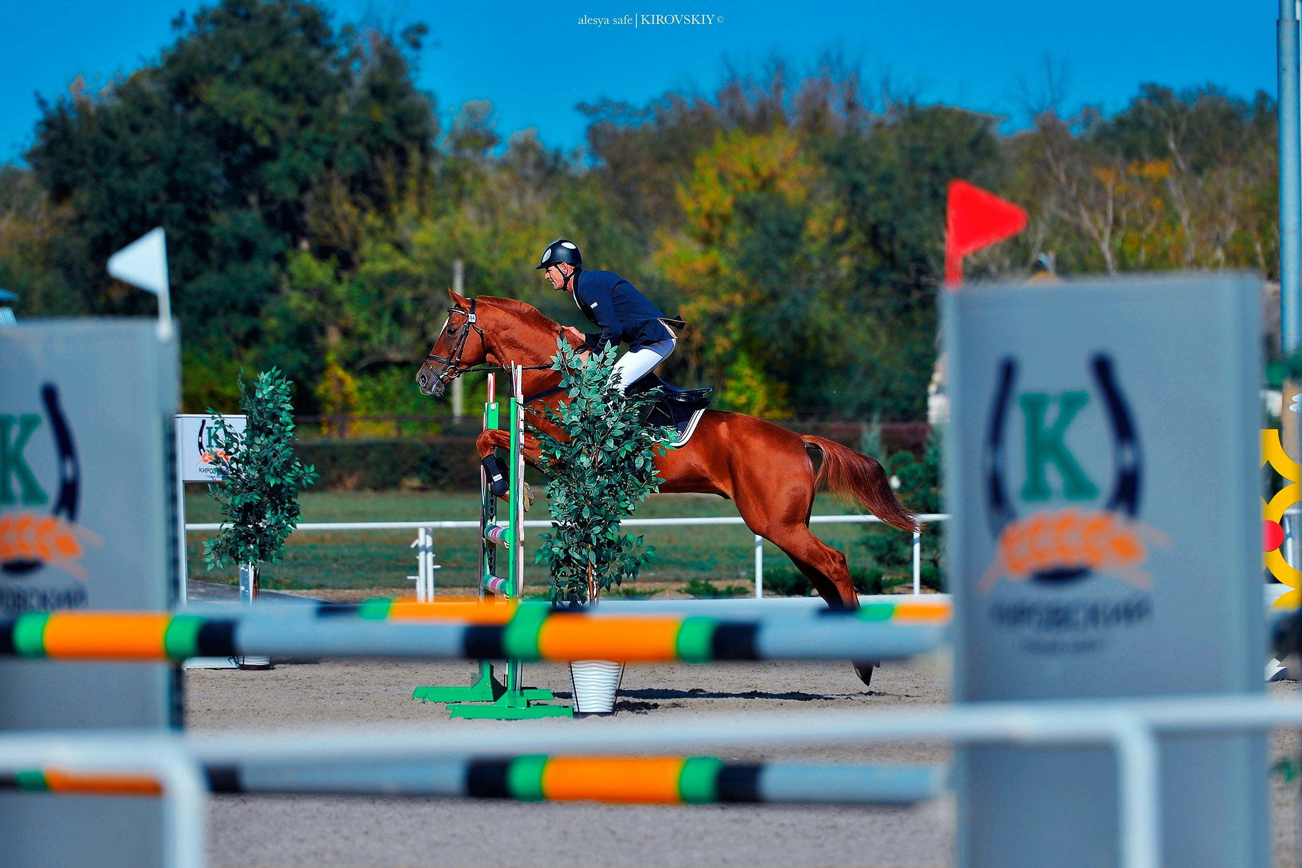 Кировский конный завод. Конный фотограф Alesya Safe