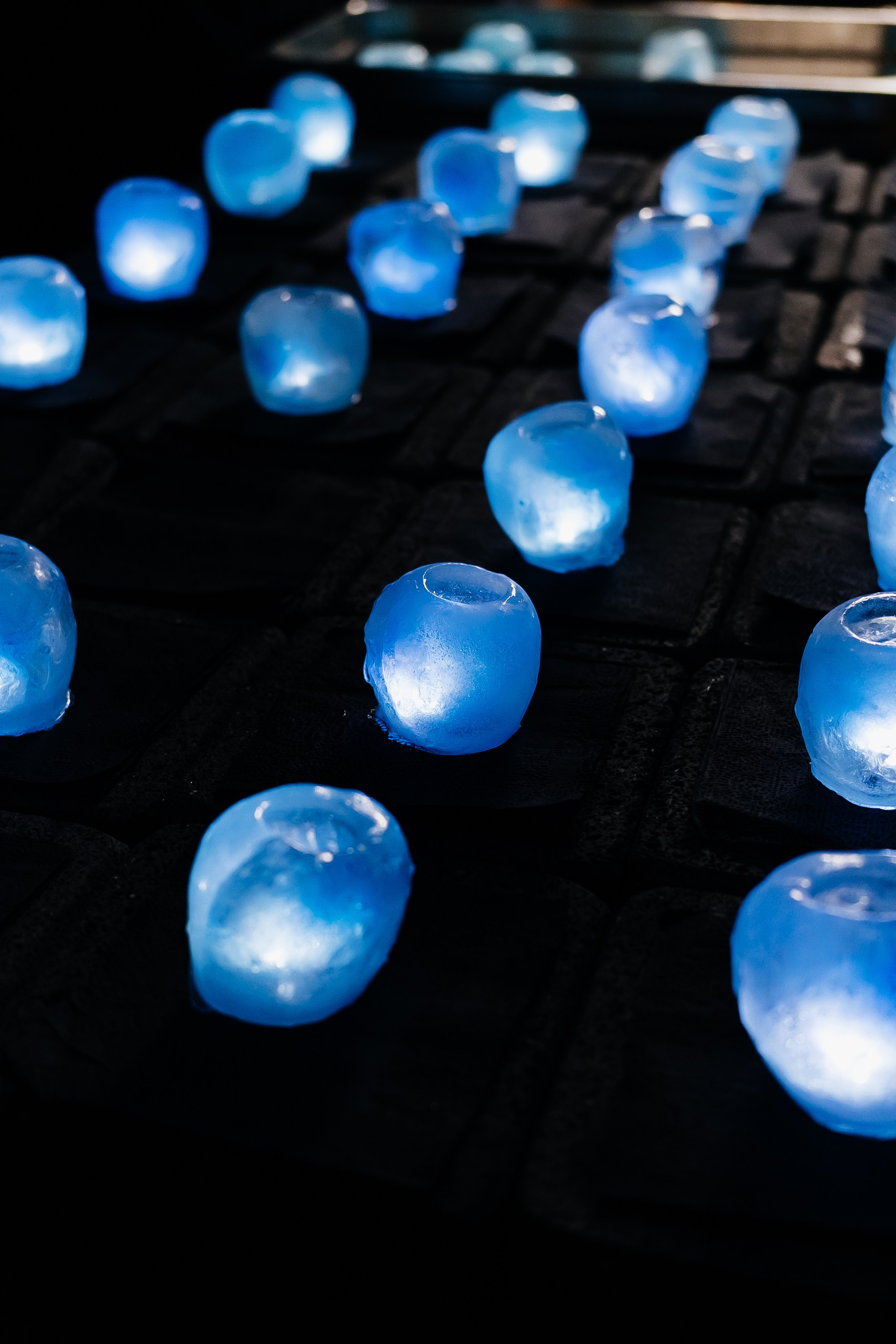 Гастрольный ужин «Солнце восходит на Камчатке» в ресторане «Забой». Фотограф Кемерово | Сергей