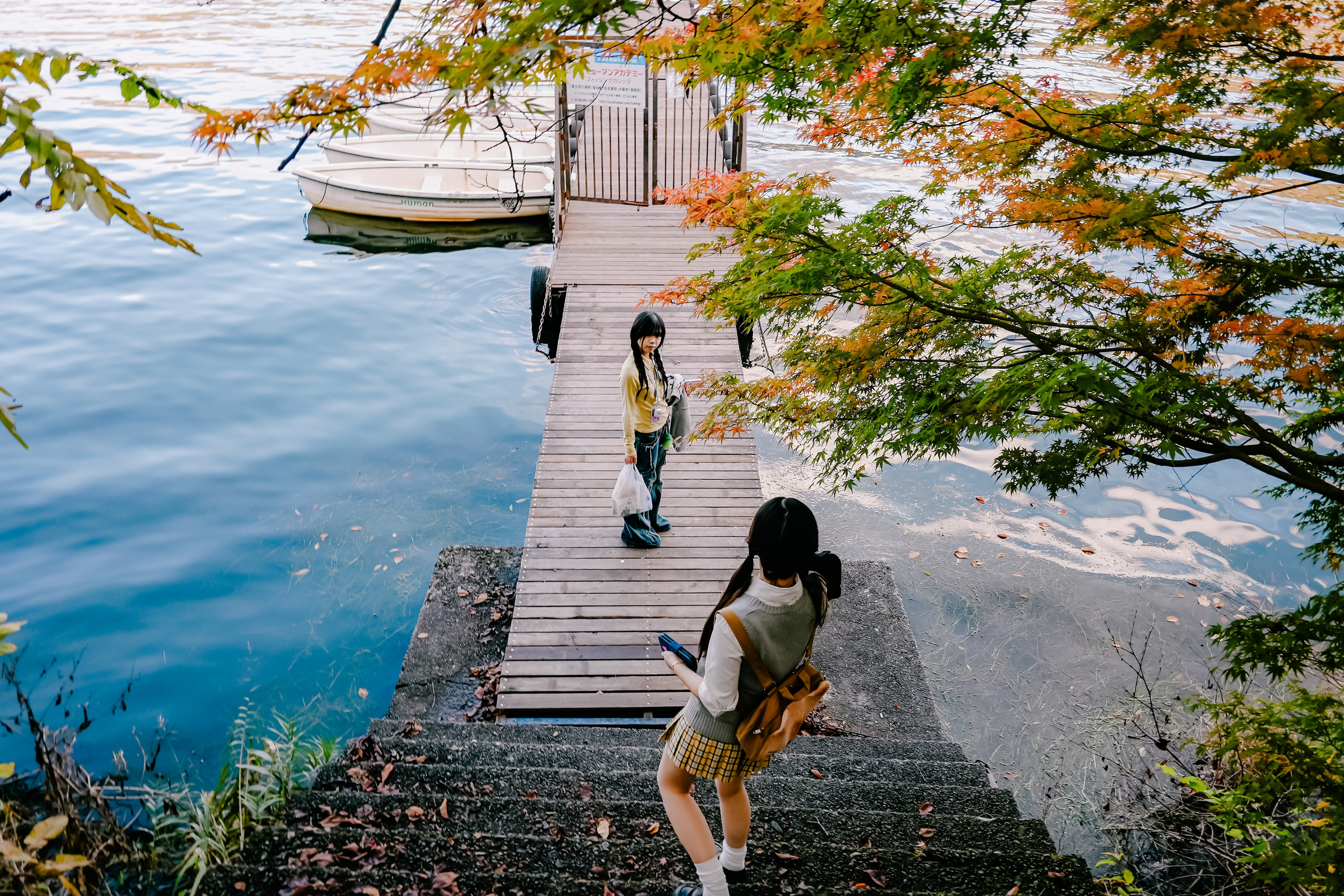 Japan village. Iraogo