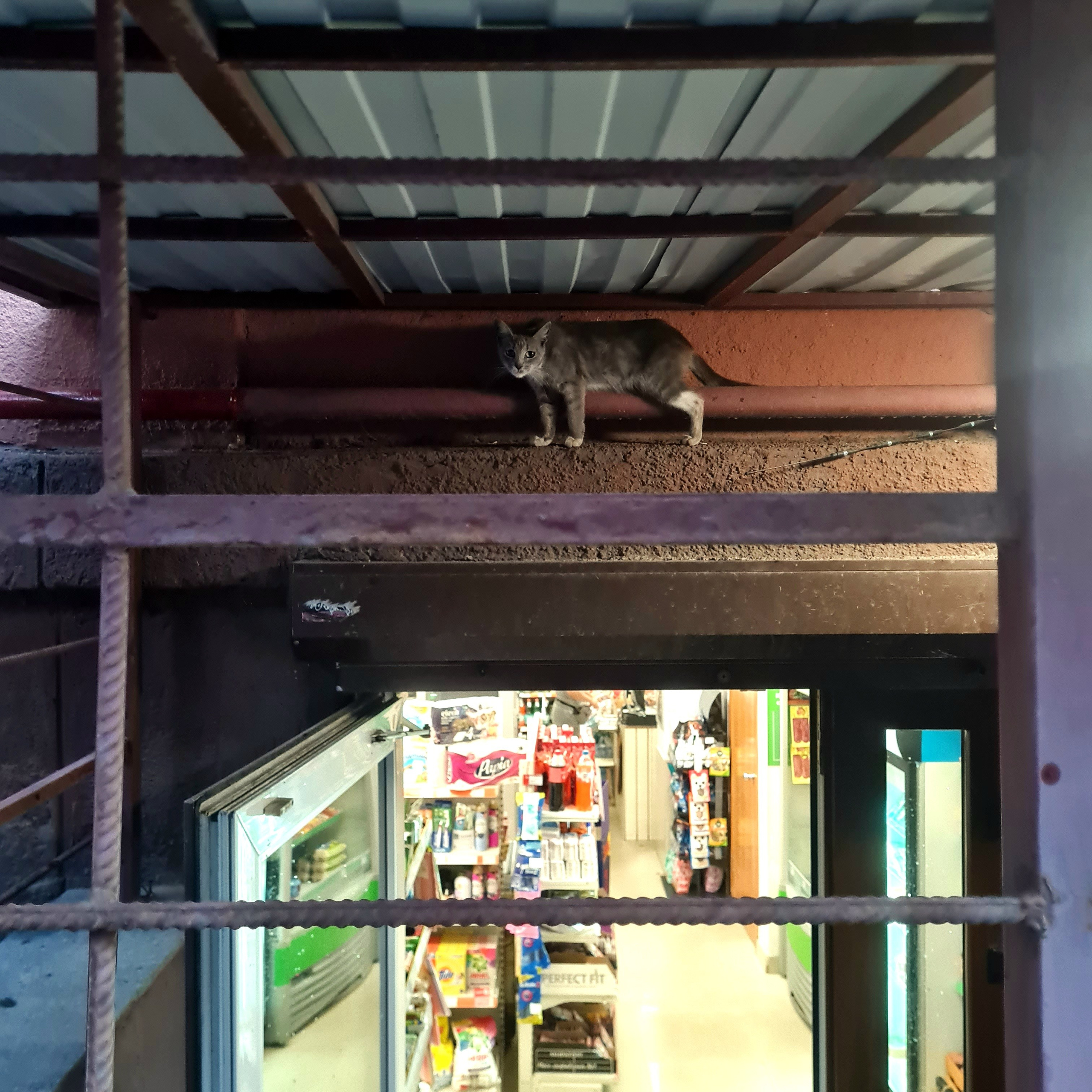 И вокруг меня. Портретный и концертный фотограф в Санкт-Петербурге Егор Телятников