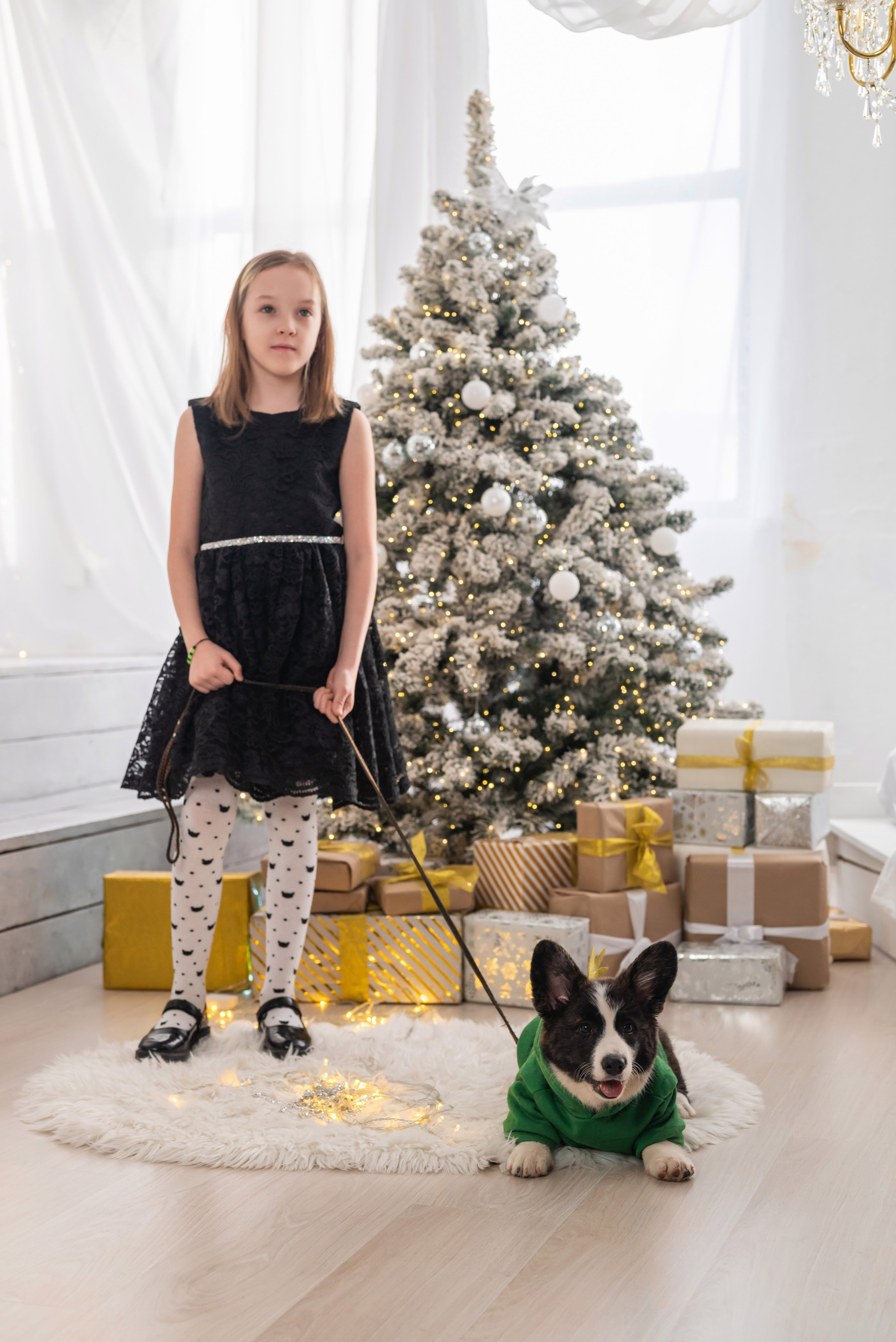 Фотопроект с корги. Фотограф в городе Салават