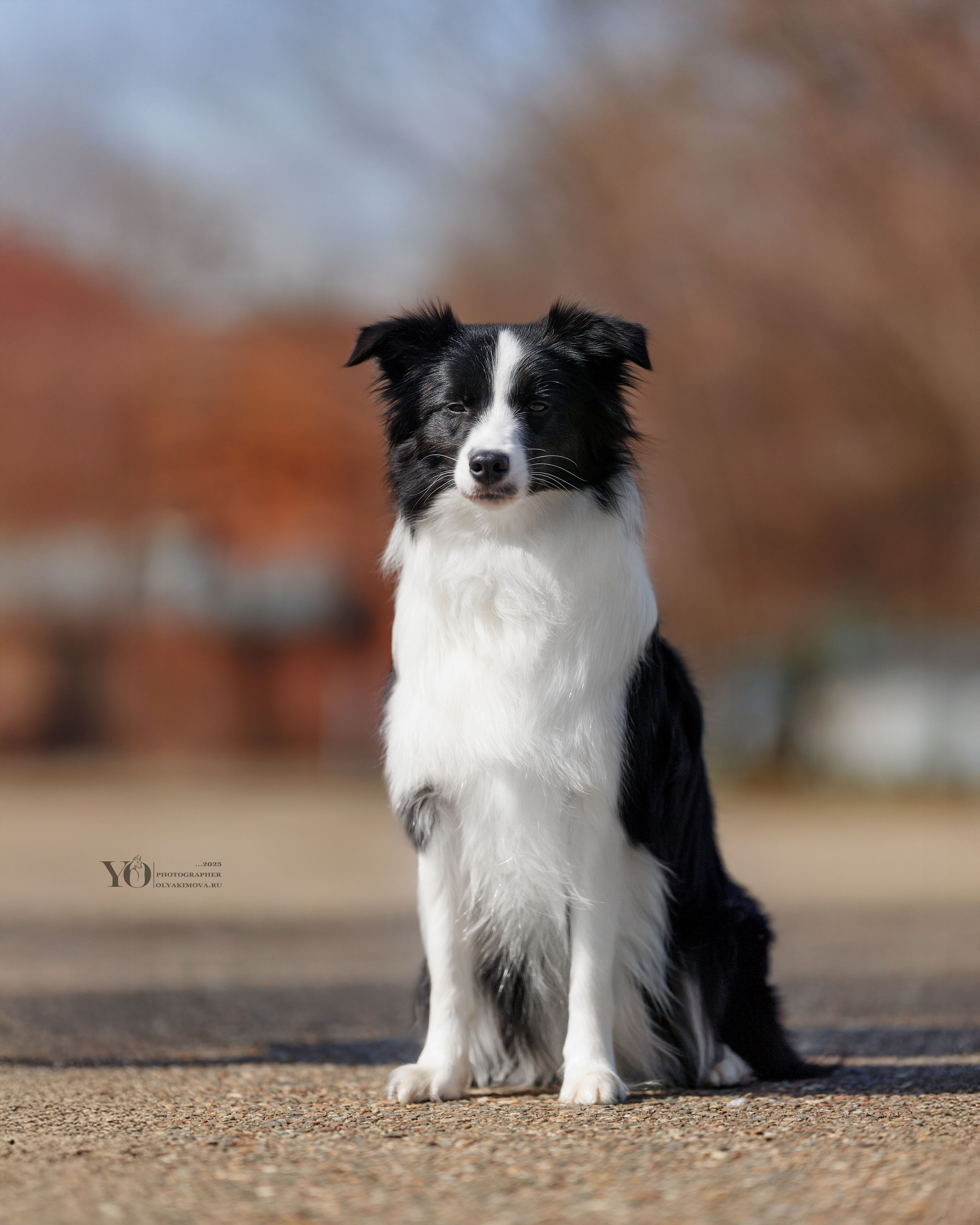Экстерьер. Фотограф