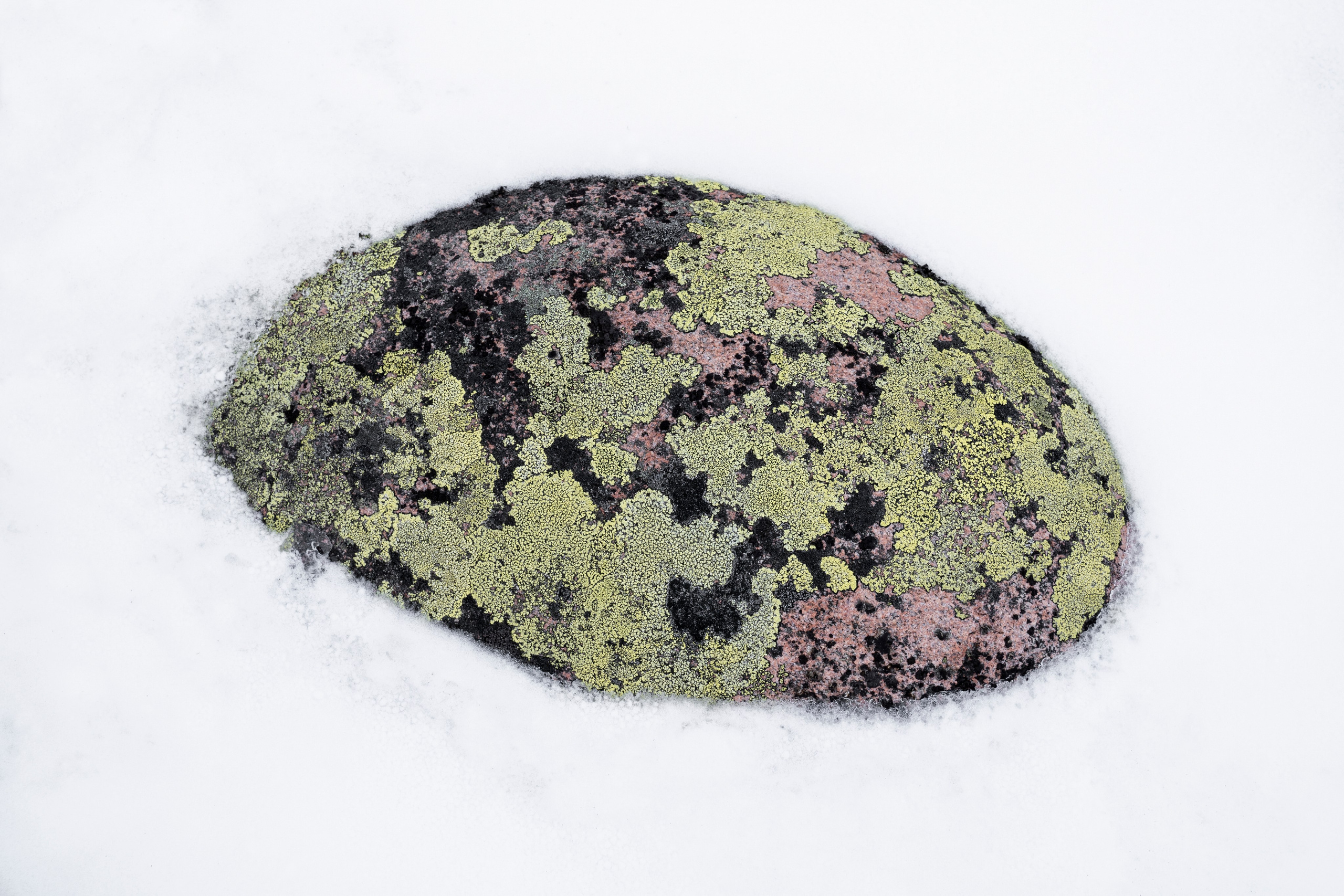 Кто сломал снеговика?. Наталья Орешина документальный и арт-фотограф из Санкт-Петербурга