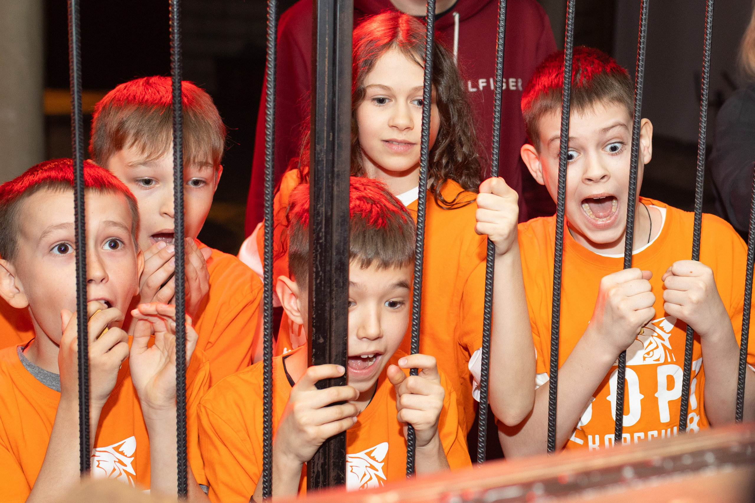 Форт Боярд -. Фотограф в Новосибирске Ася Зверева