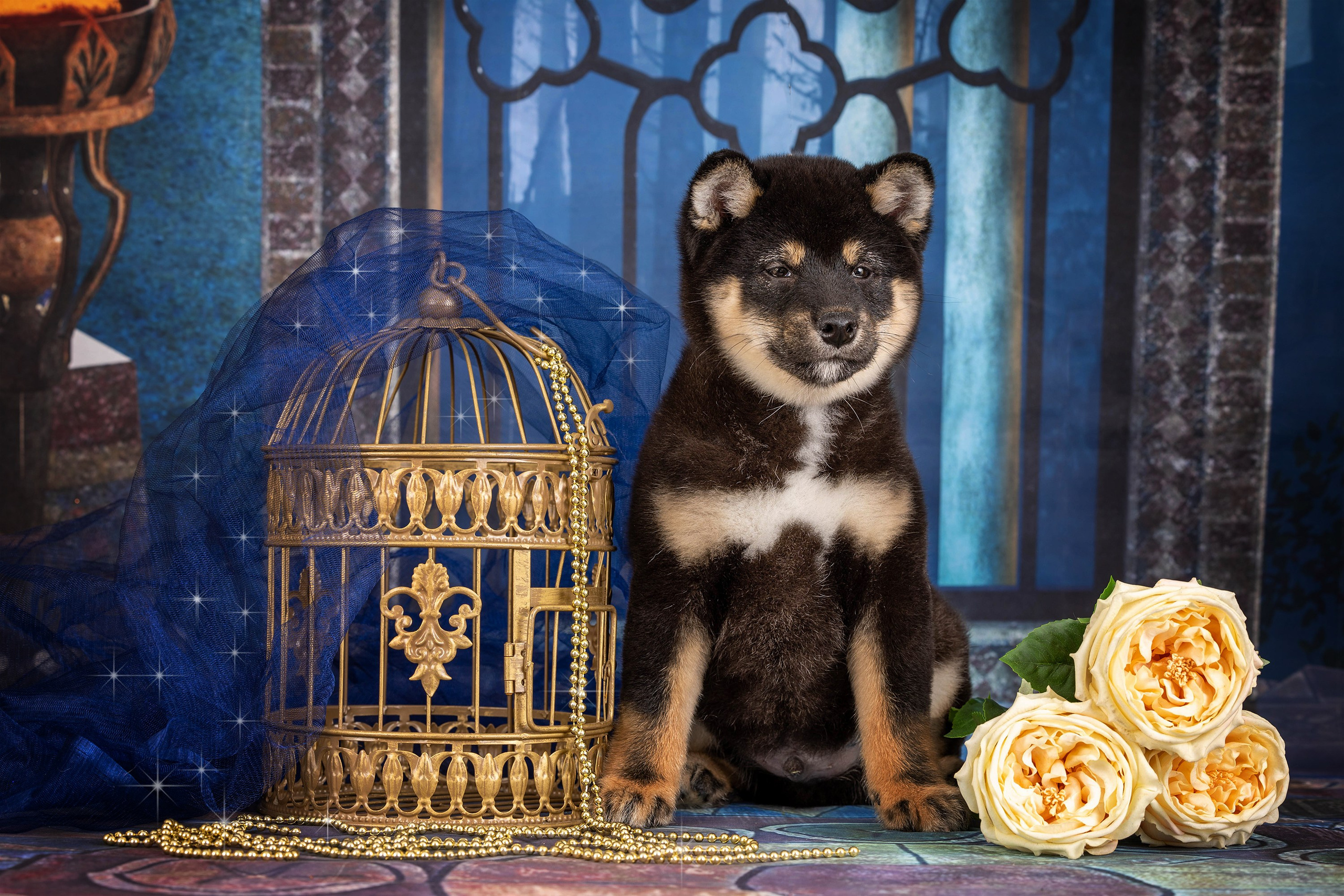 Тематические фоны с рисунком. Фотограф-анималист в Омске Екатерина Маричева